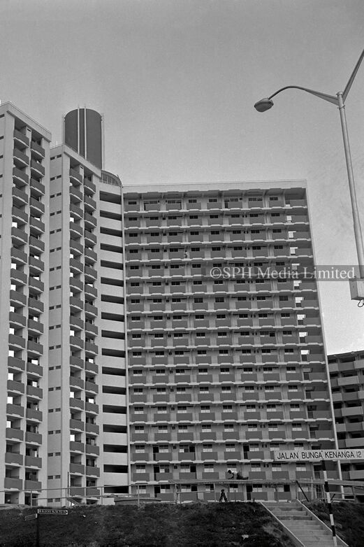 A High-Rise HDB Flat at Jalan Bunga Kenanga 1967-My Sg Memories