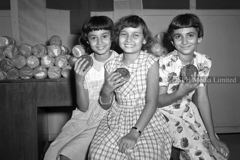 Mooncakes from the Red Cross Society 1954-My Sg Memories