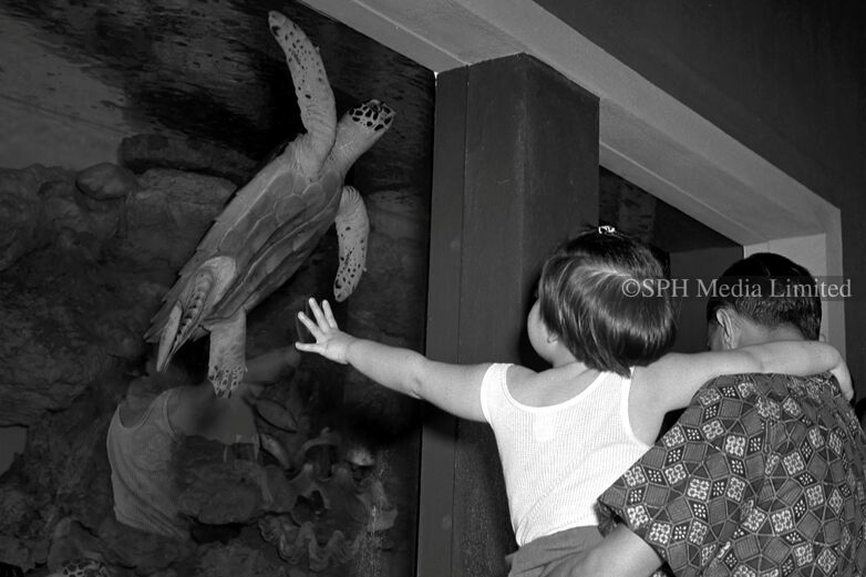 Opening Day of the Van Cleef Aquarium 1955-My Sg Memories