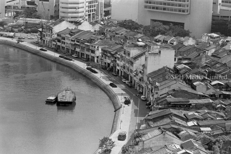 The Carp Belly After the River Cleanup 1988