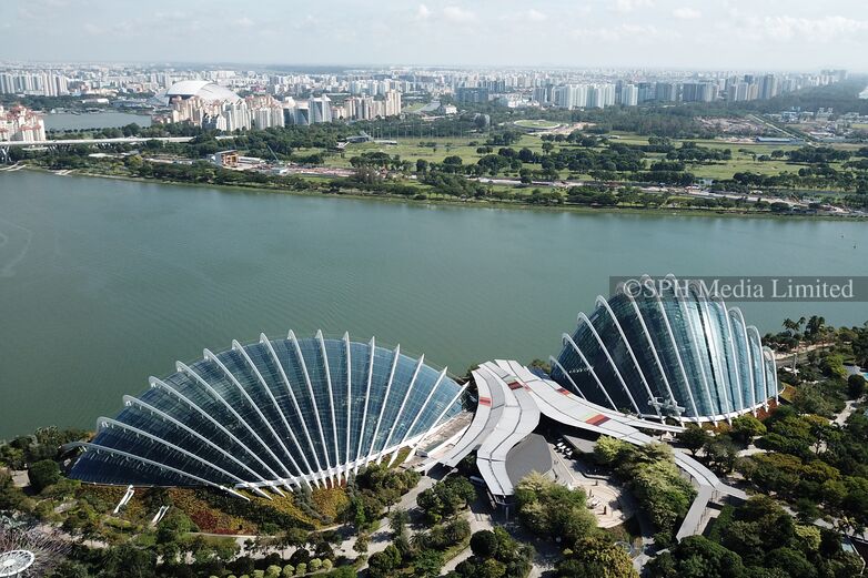 Aerial View of Gardens by the Bay 2019