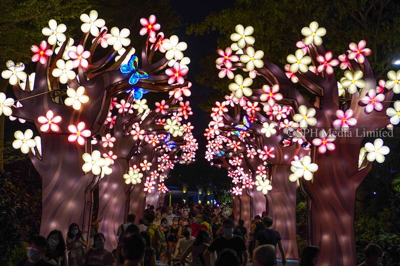 Flower Lantern Dedicated to the Medical Personnel 2020-My Sg Memories