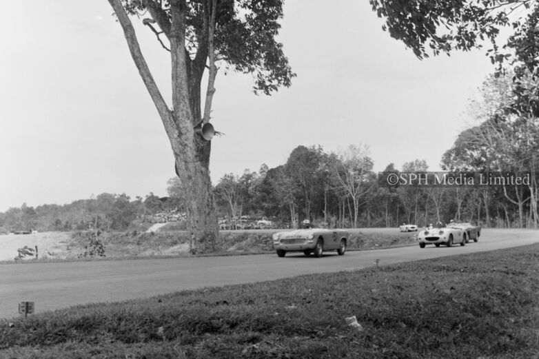The Snakes on Old Upper Thomson Road 1964-My Sg Memories