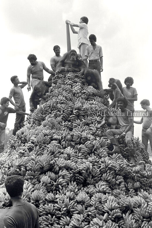Banana cake for Ah Meng, 1983 Print