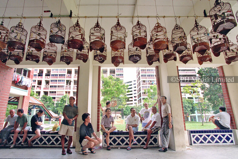 Bird singing at Yishun void deck, 1997 Print