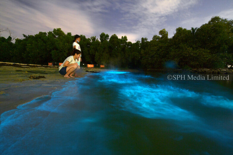 Blue glowing waters in Sentosa, 2022 Print
