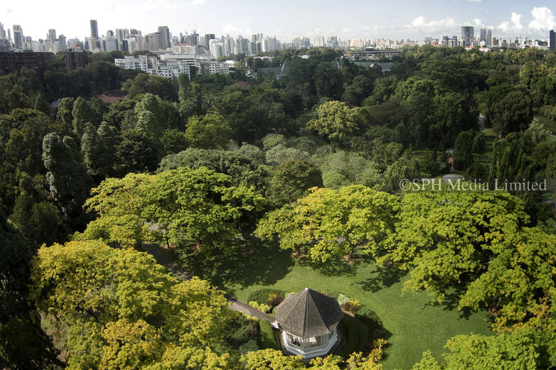 Aerial view of Singapore Botanic Gardens, 2015 Print