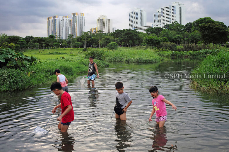 Fishing at Bishan-Ang Mio Kio Park, 2017 Print
