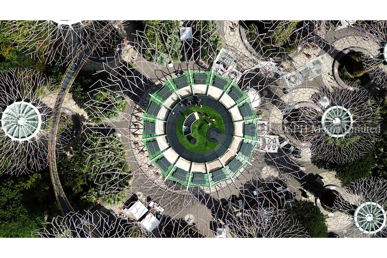 The Supertree Observatory at Gardens by the Bay, 2019 Print