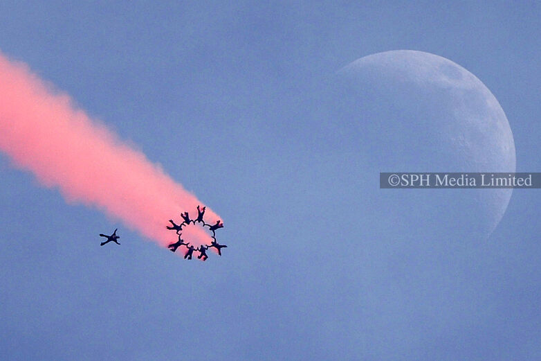 Red Lions at NDP 2014 preview, 2014 Print