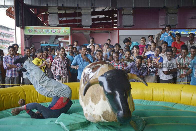 Rodeo fun, 2015 Print