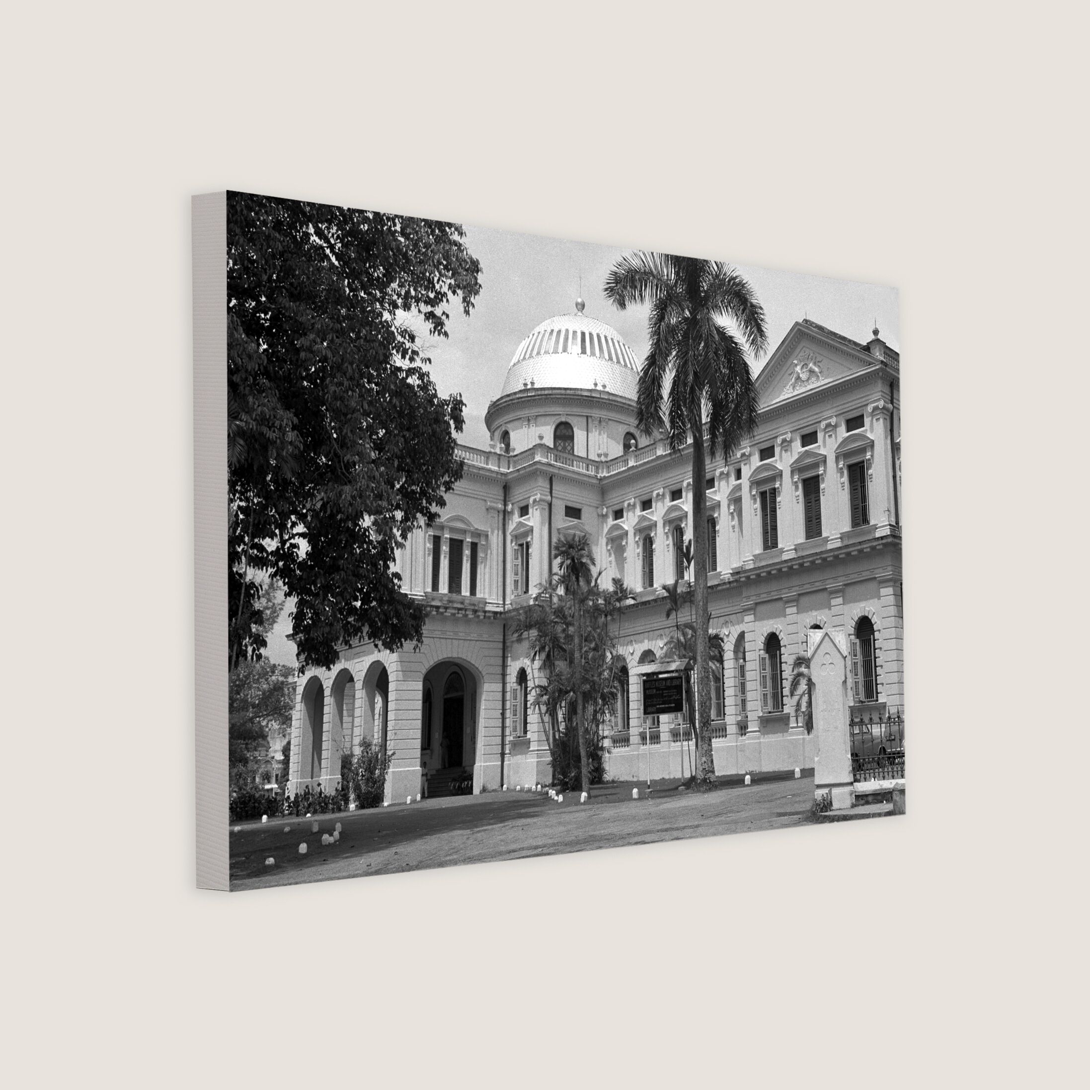 Raffles Library and Museum at Stamford Road 1954-My Sg Memories