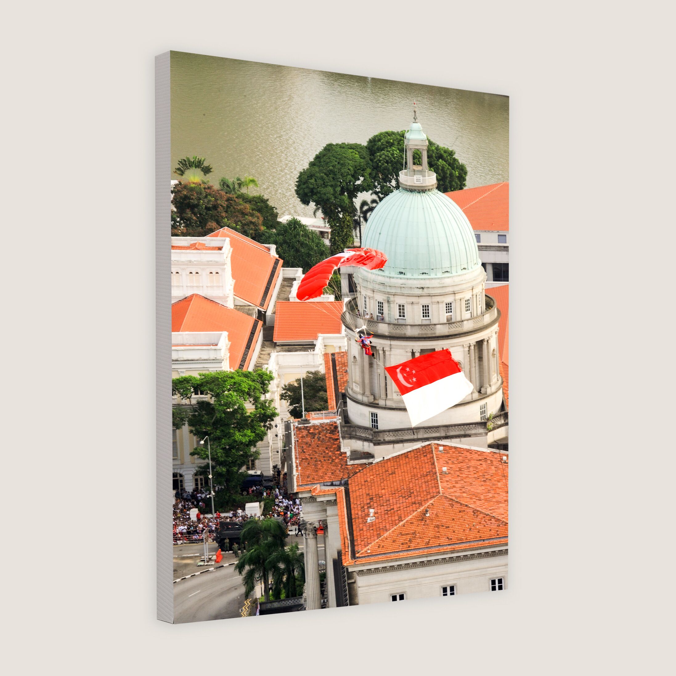 Red Lions Commandos Swooping Down 2010 Canvas