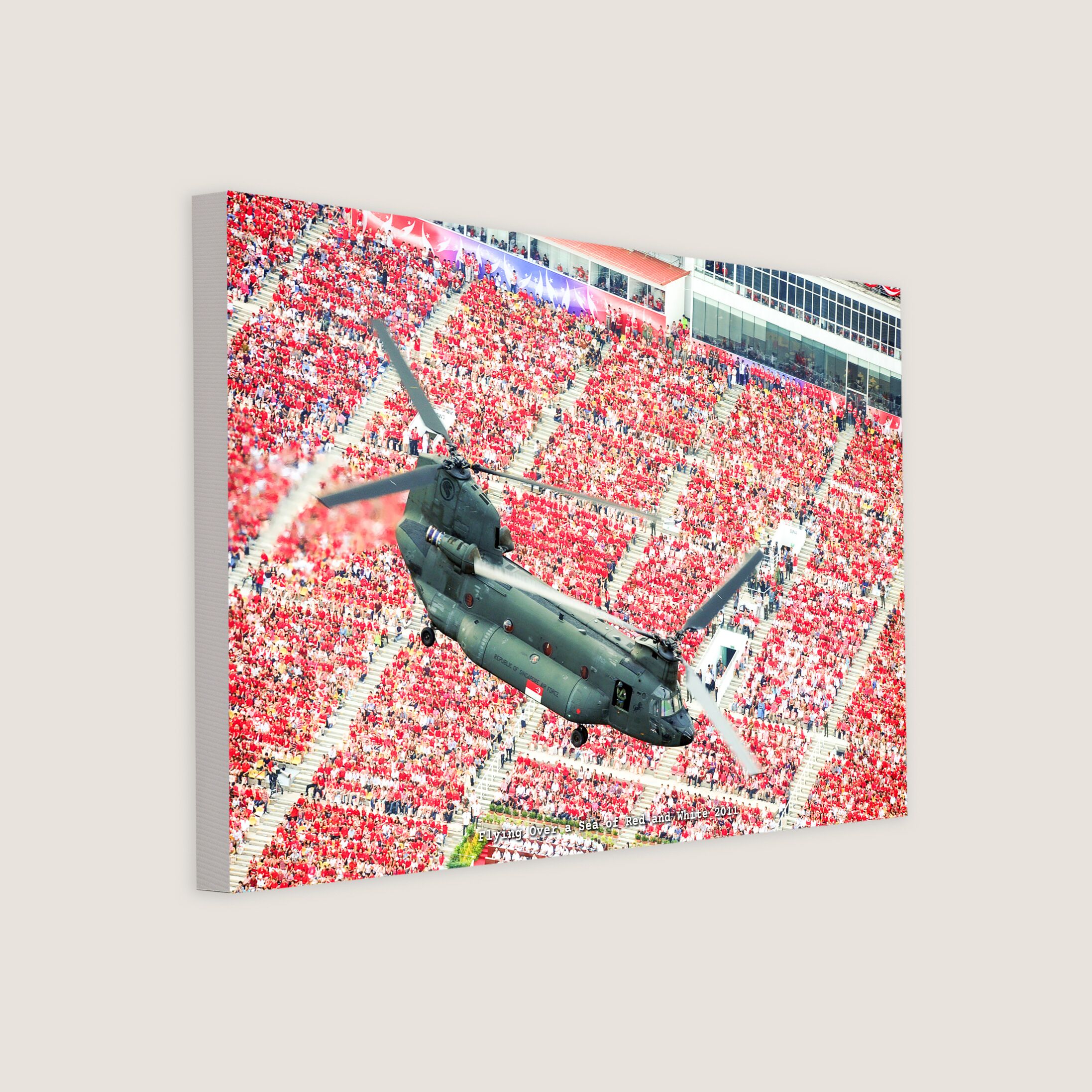 Flying Over a Sea of Red and White 2011 Canvas