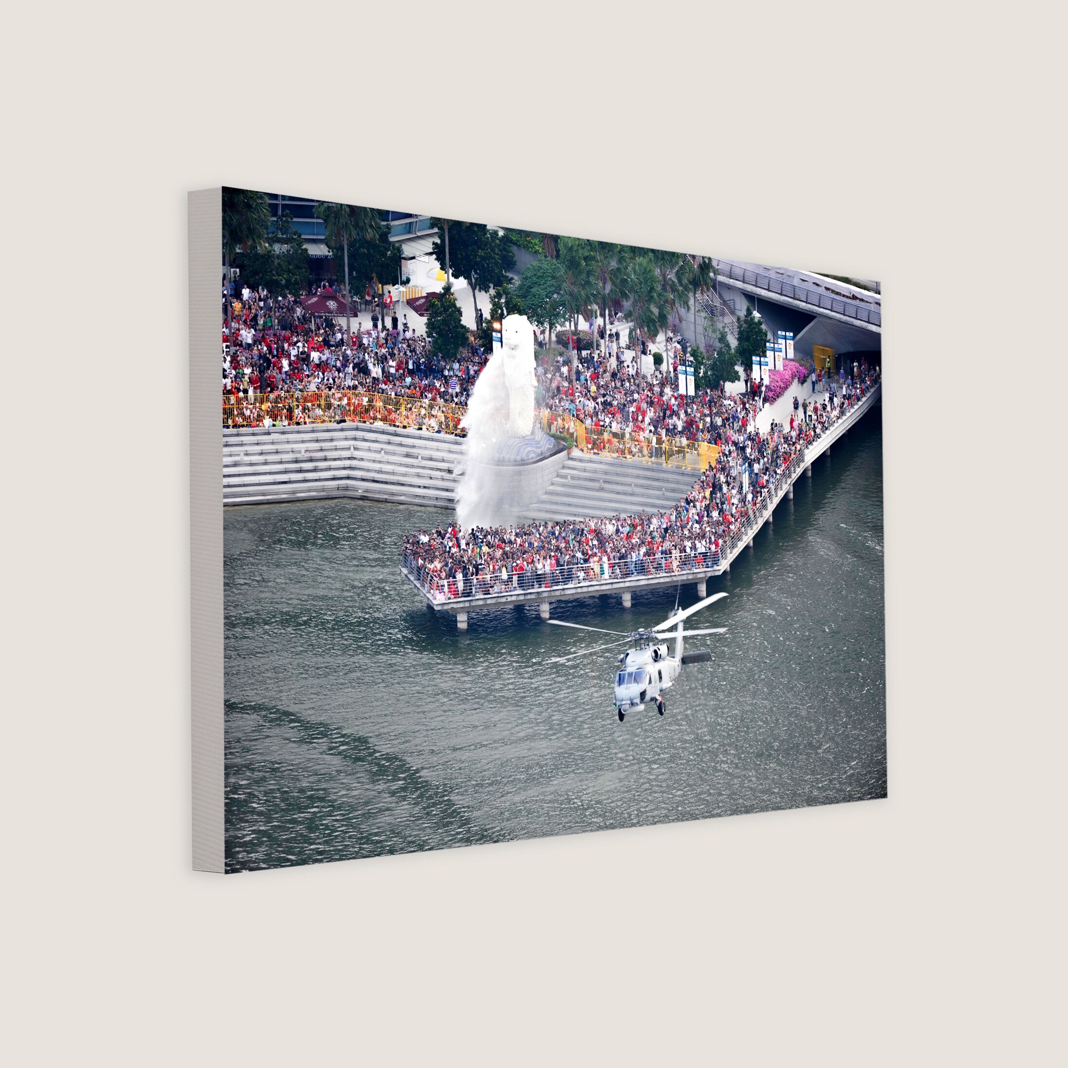 Dynamic Defence Display Near the Merlion 2011 Canvas