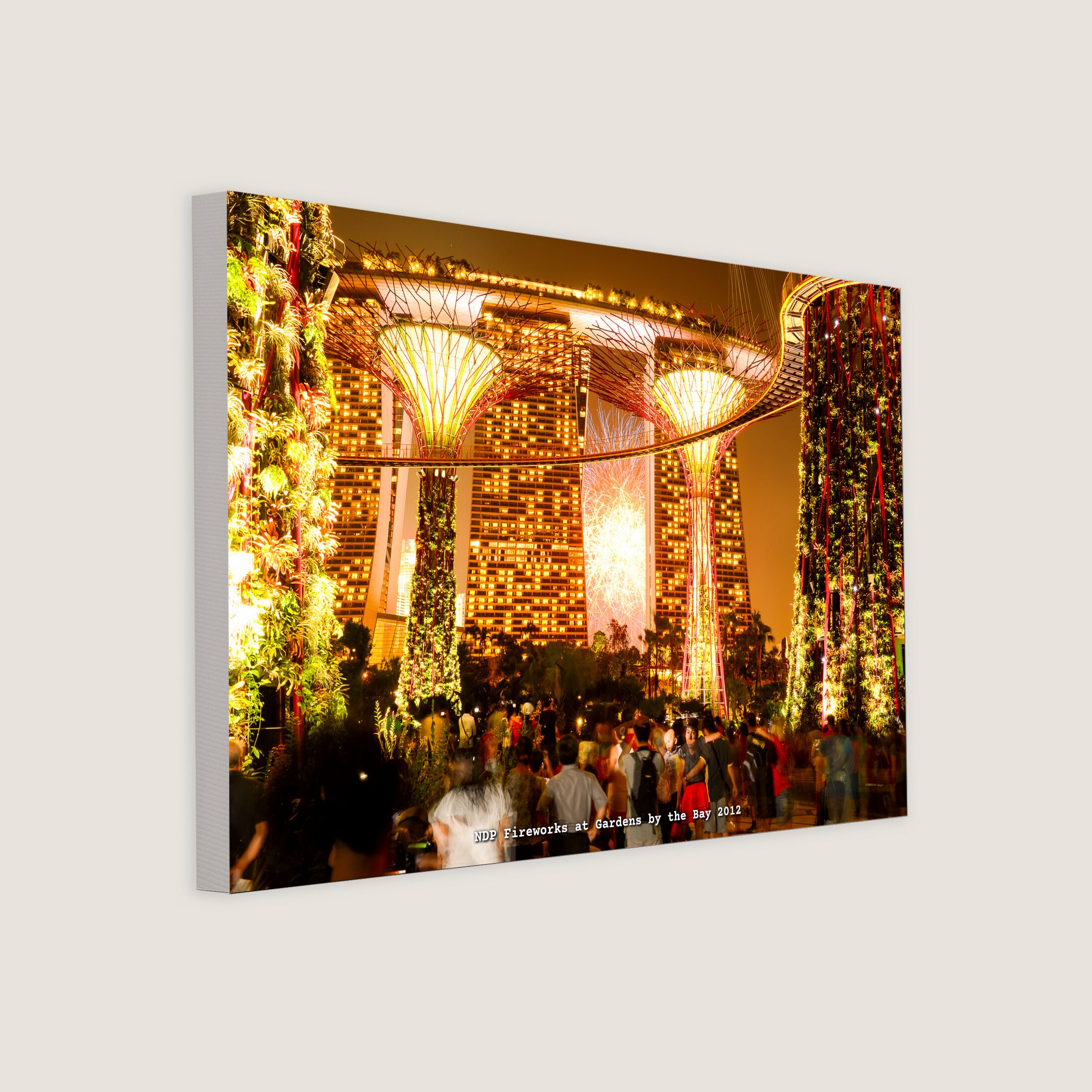 NDP Fireworks at Gardens by the Bay 2012 Canvas