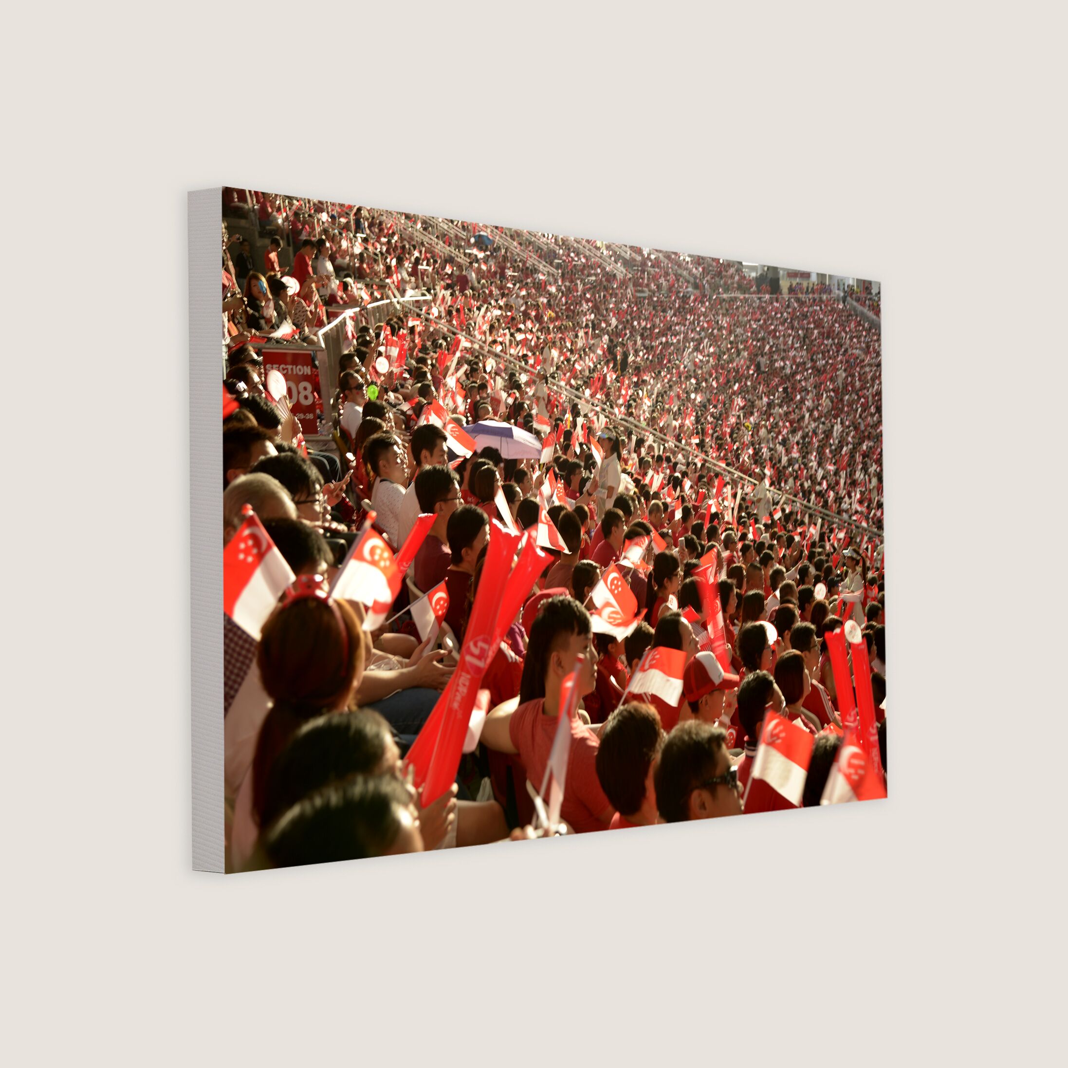 Spectators at National Day Parade 2016-My Sg Memories