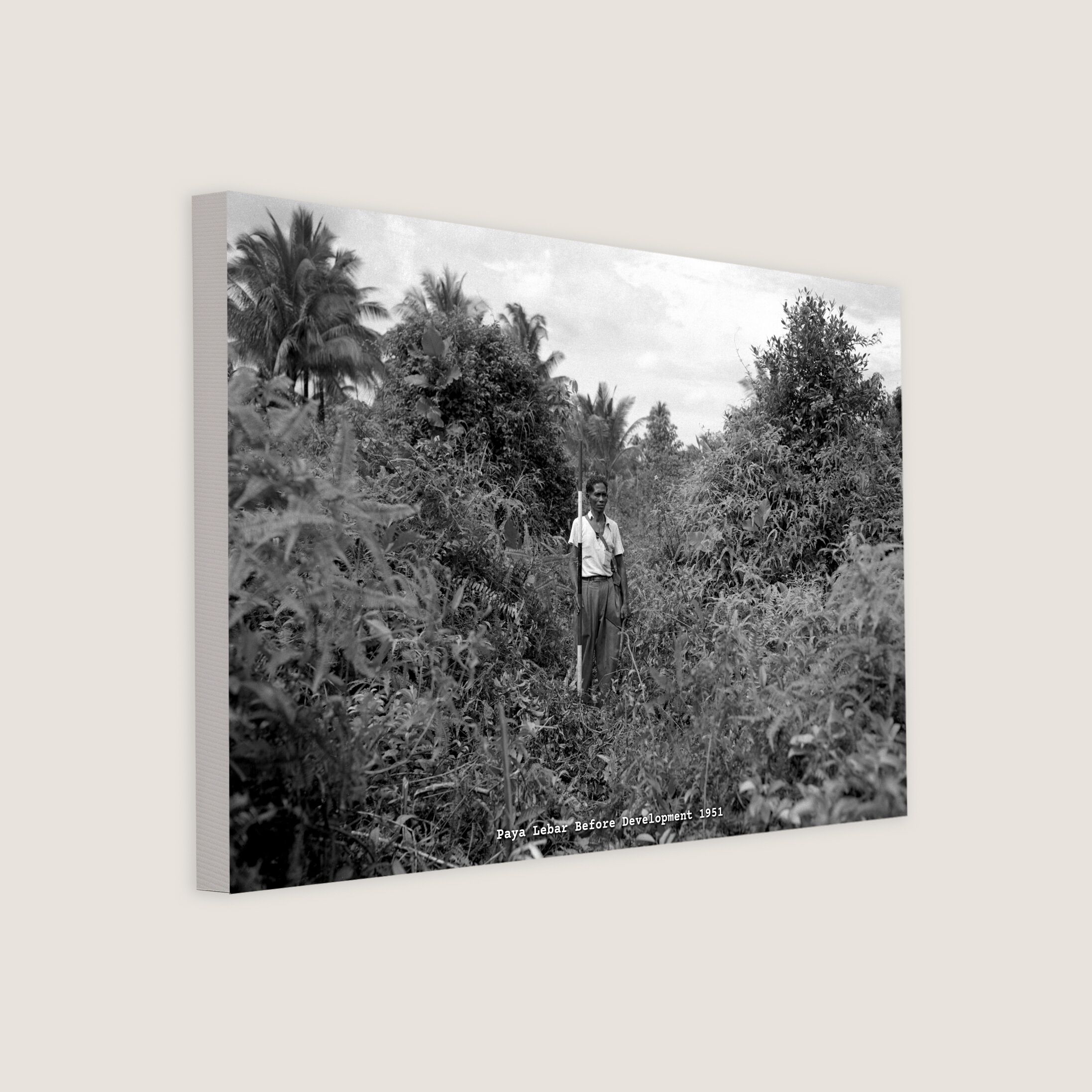 Paya Lebar Before Development 1951 Canvas