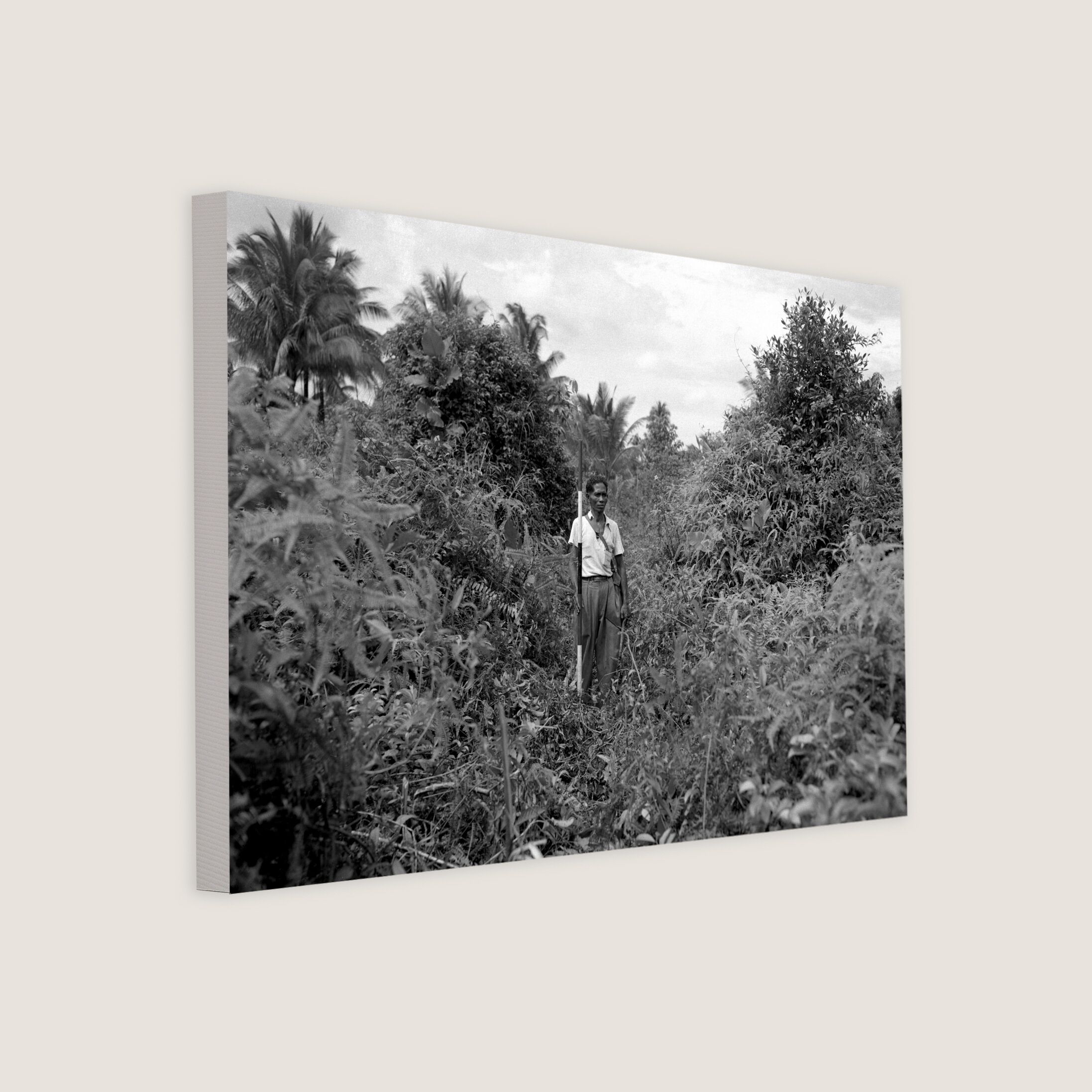 Paya Lebar Before Development 1951 Canvas