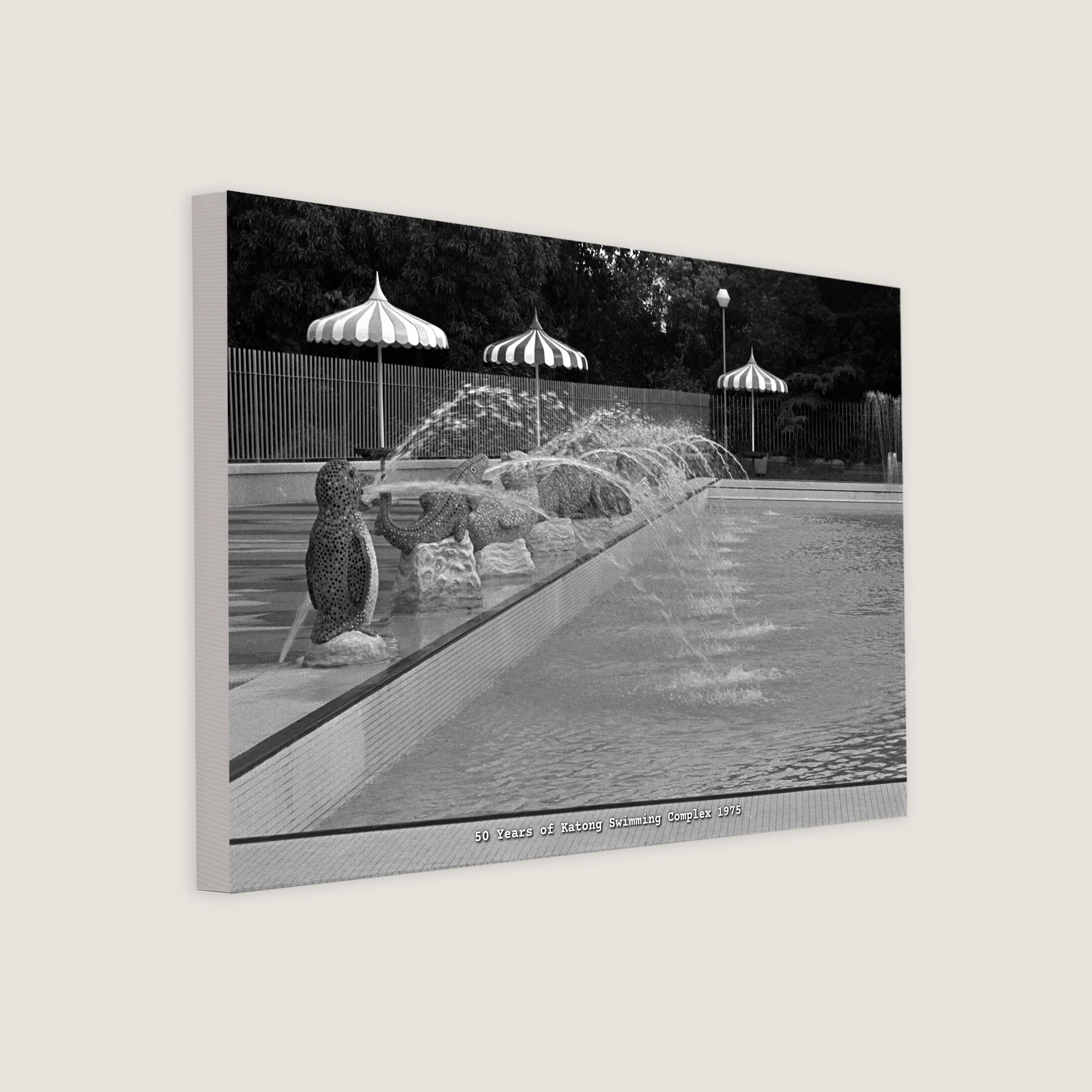 50 Years of Katong Swimming Complex 1975-My Sg Memories