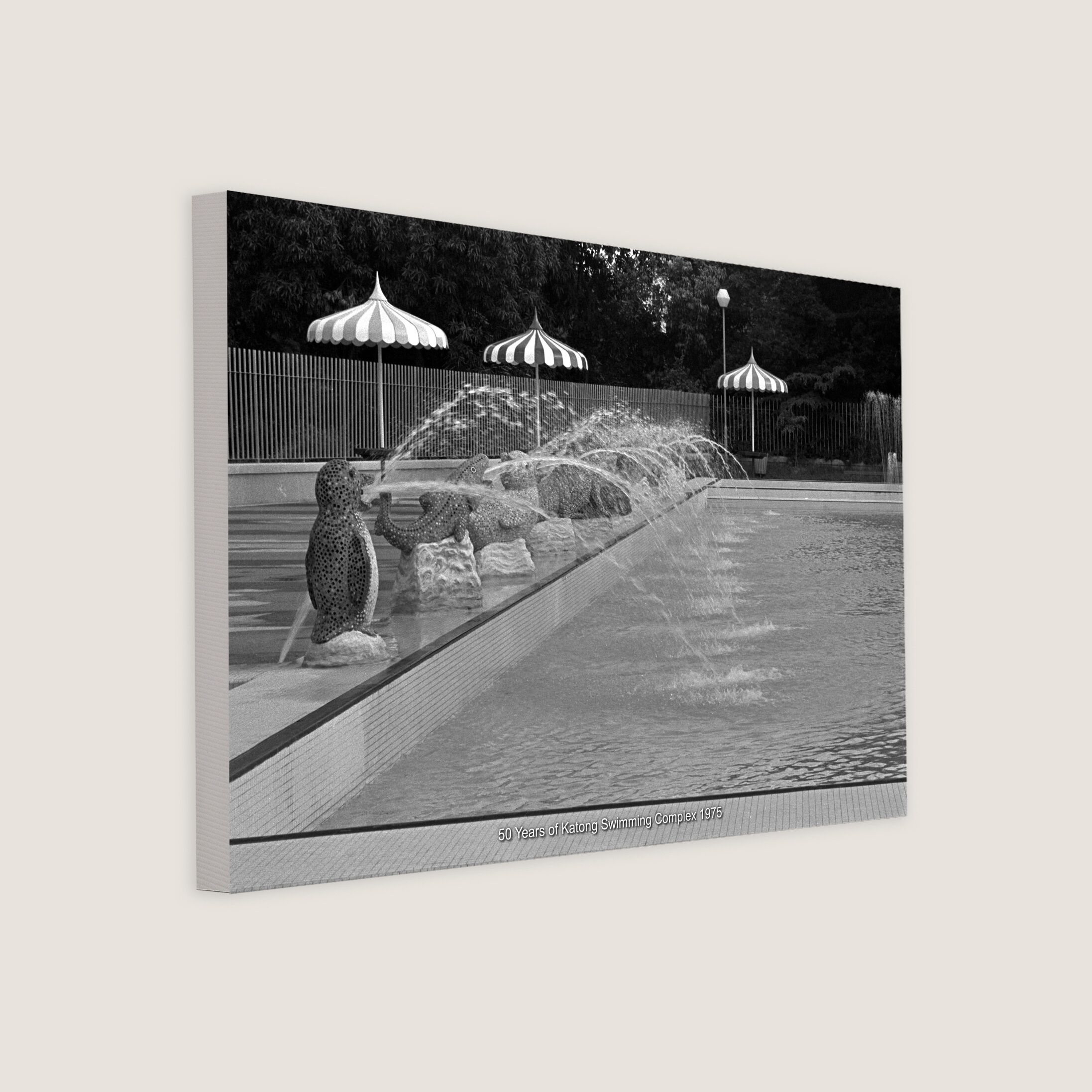 50 Years of Katong Swimming Complex 1975-My Sg Memories