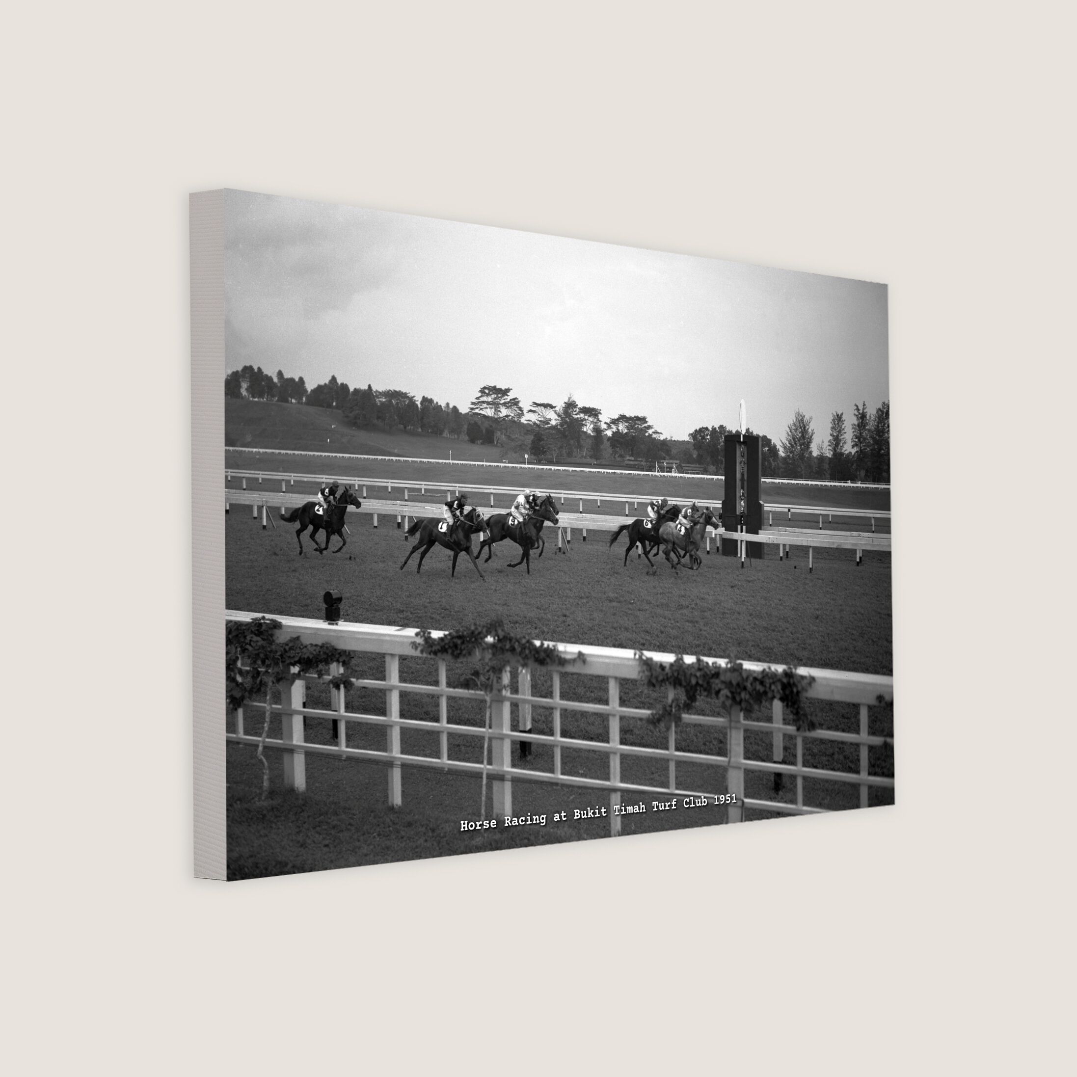 Horse Racing at Bukit Timah Turf Club 1951-My Sg Memories