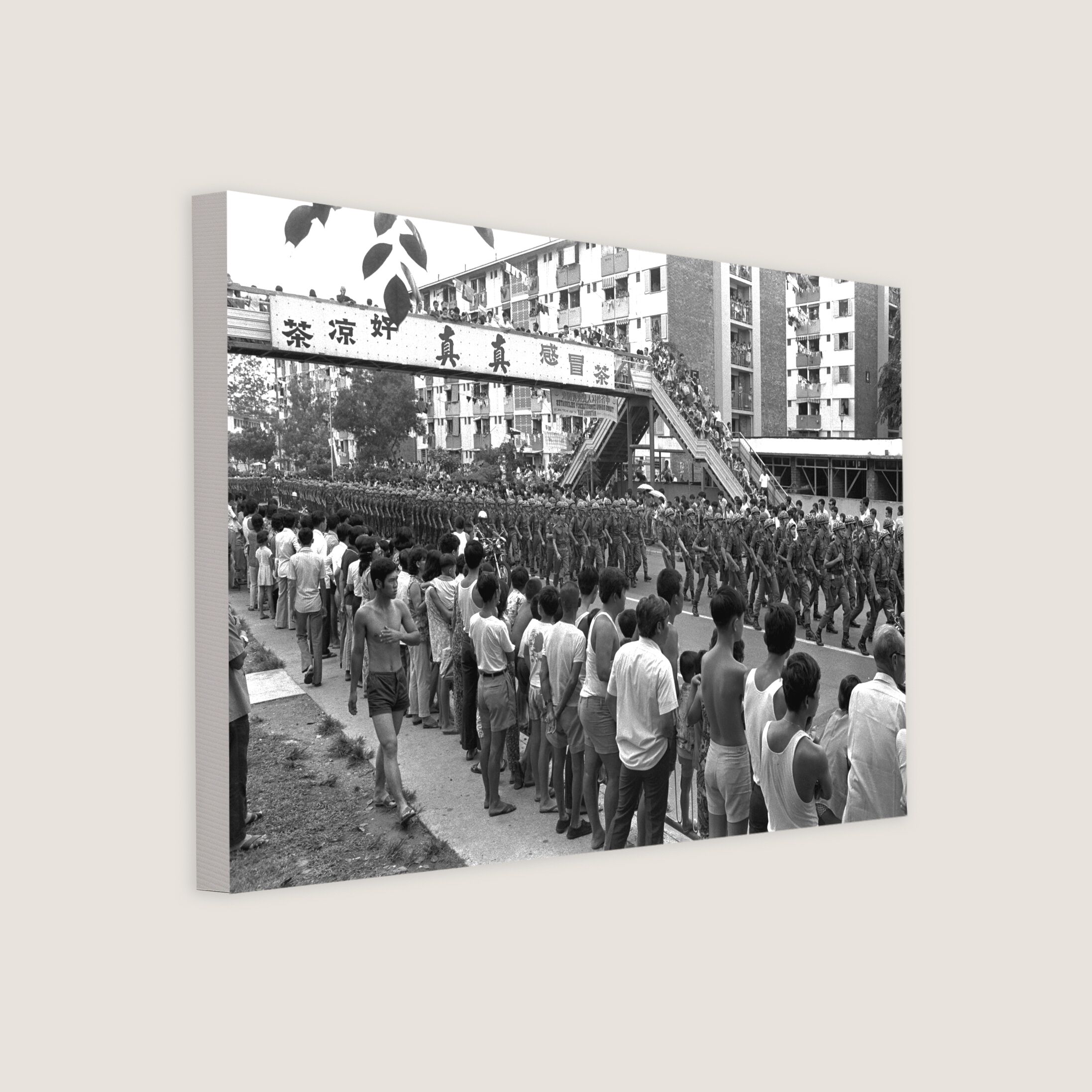 SAF Annual March to Mark National Day 1973 Canvas