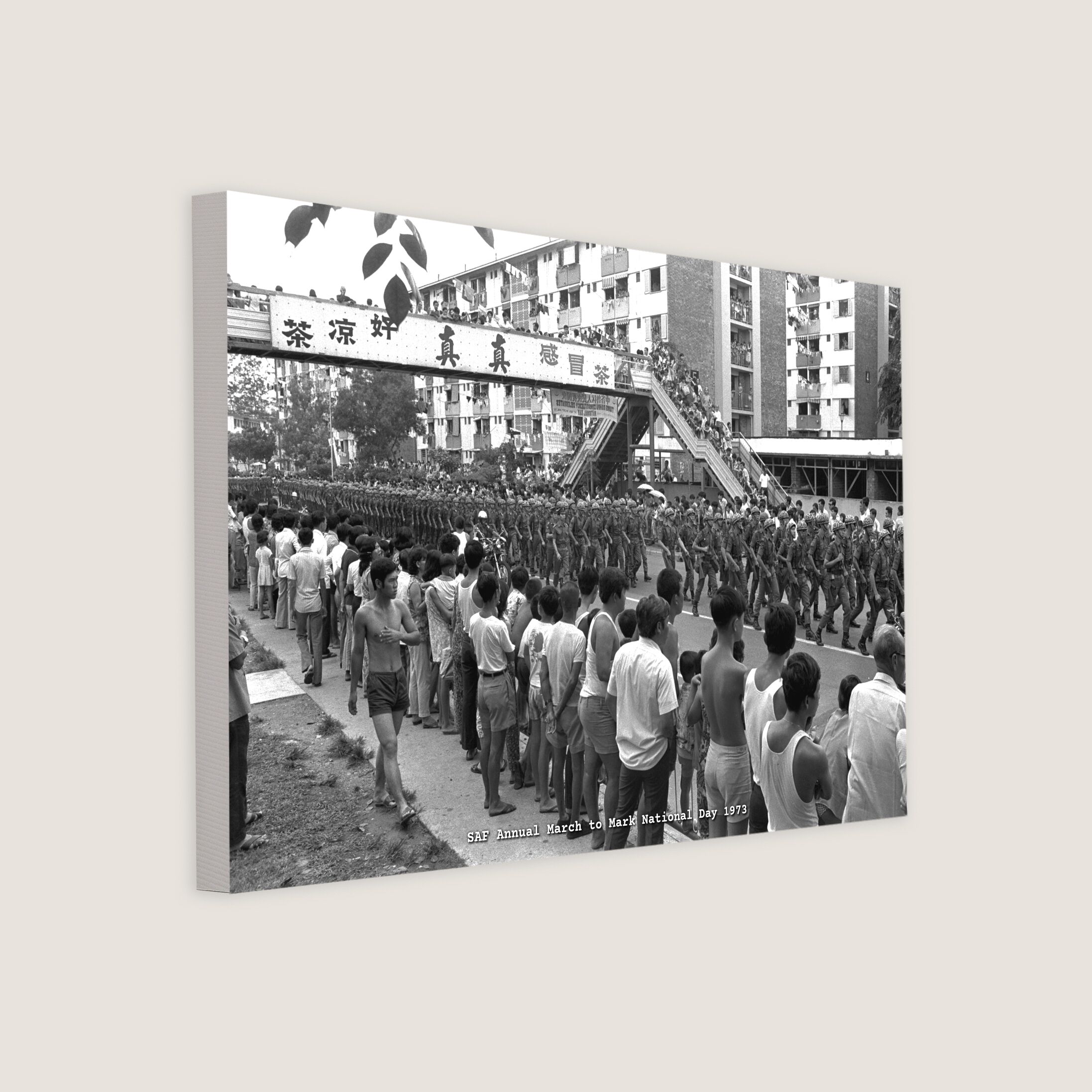 SAF Annual March to Mark National Day 1973 Canvas