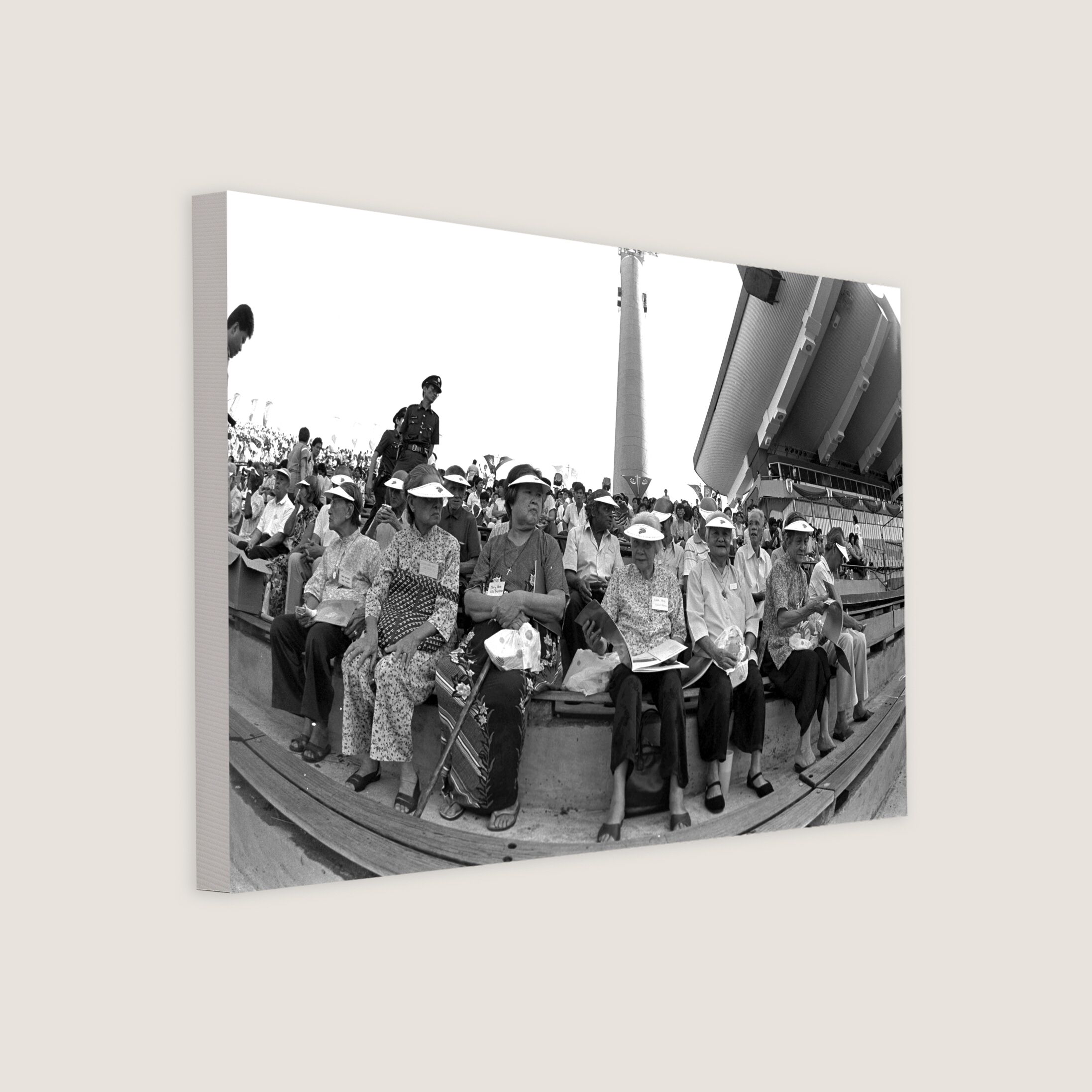 Seniors Join In the NDP Fun 1986 Canvas