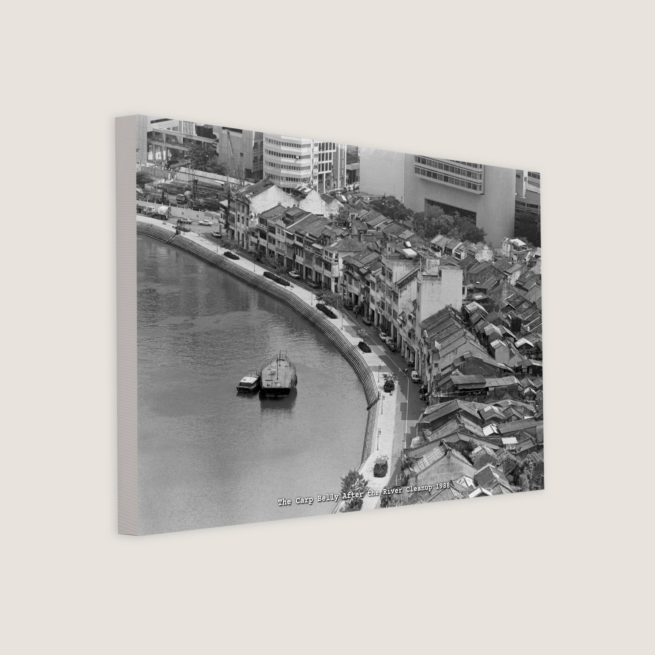 The Carp Belly After the River Cleanup 1988