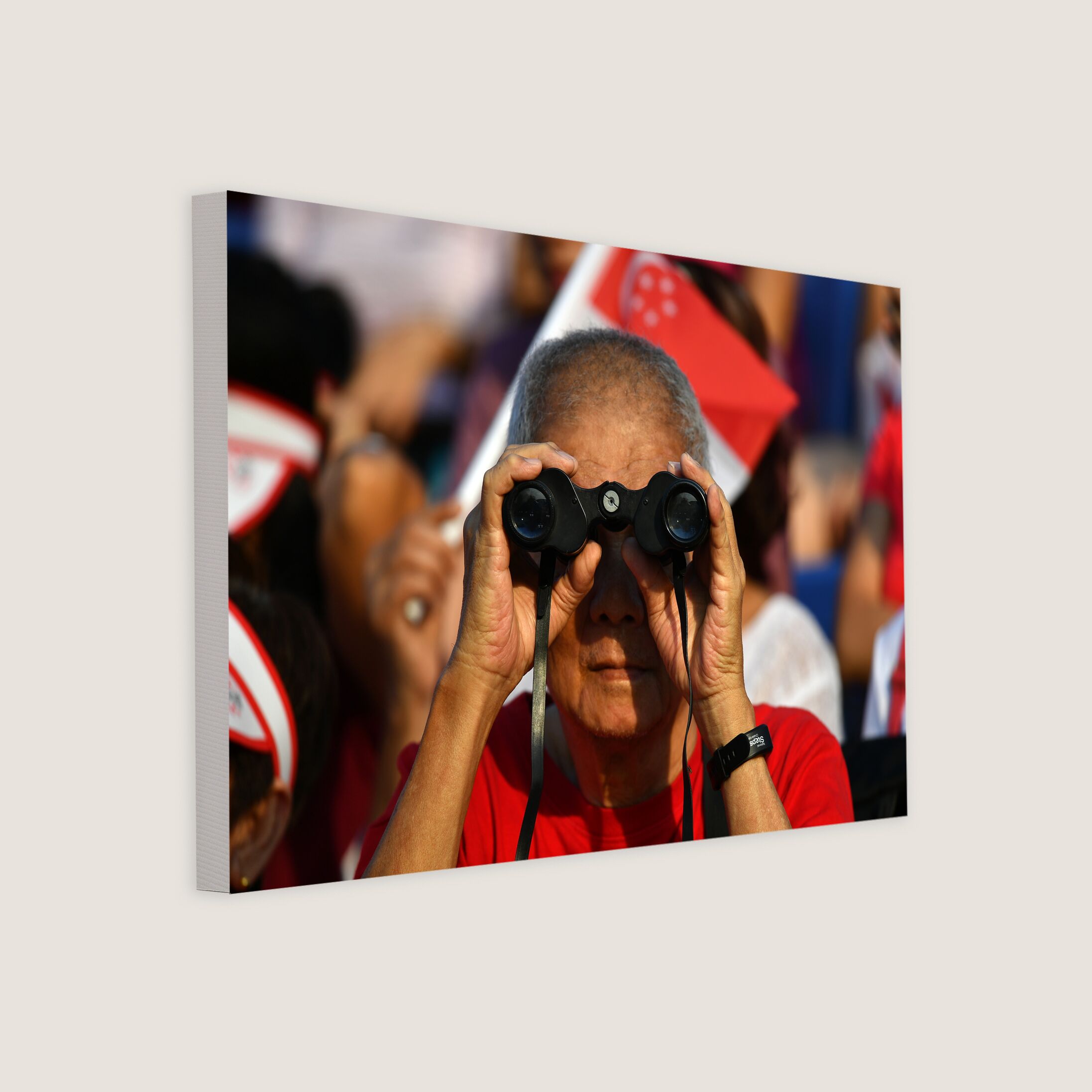Spectator Watching National Day Parade 2019-My Sg Memories