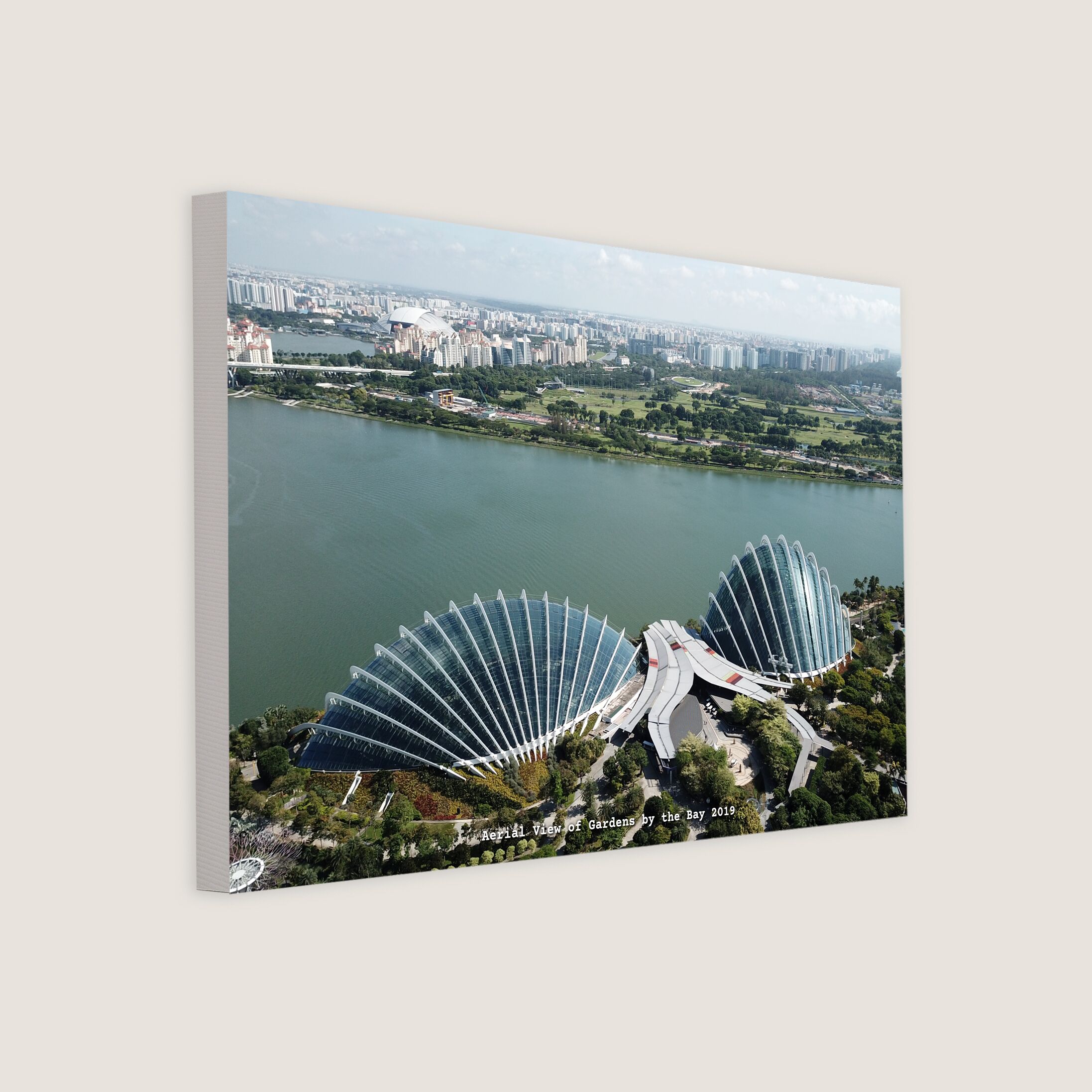 Aerial View of Gardens by the Bay 2019