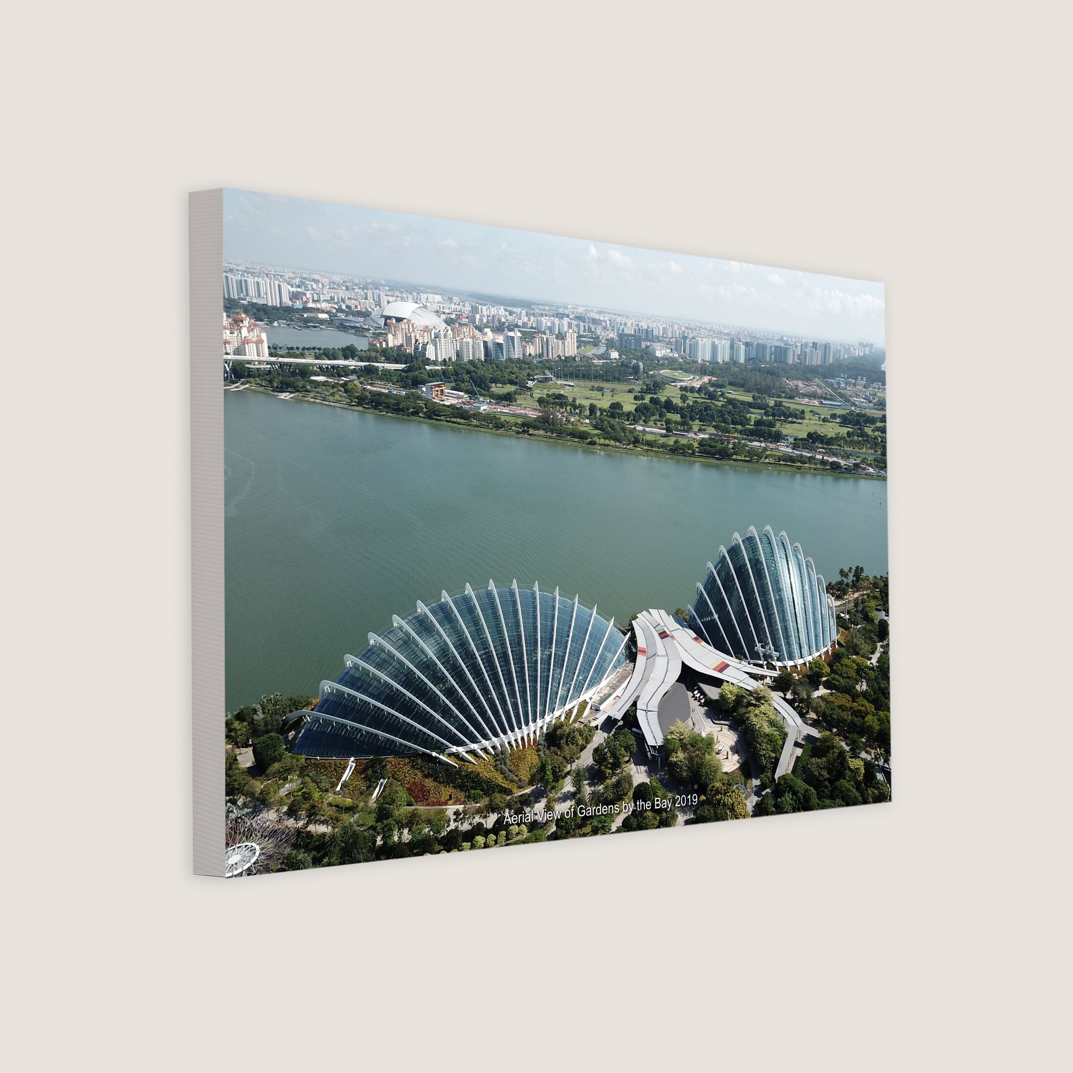 Aerial View of Gardens by the Bay 2019-My Sg Memories