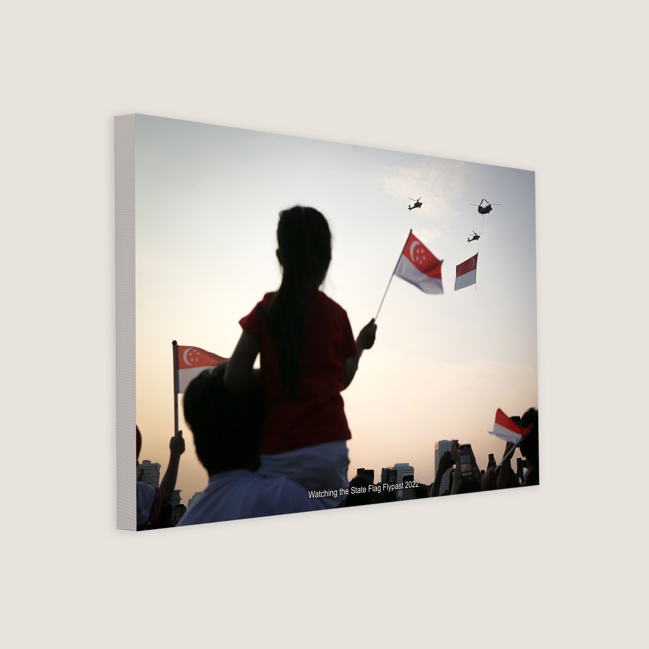 Watching the State Flag Flypast 2022-My Sg Memories