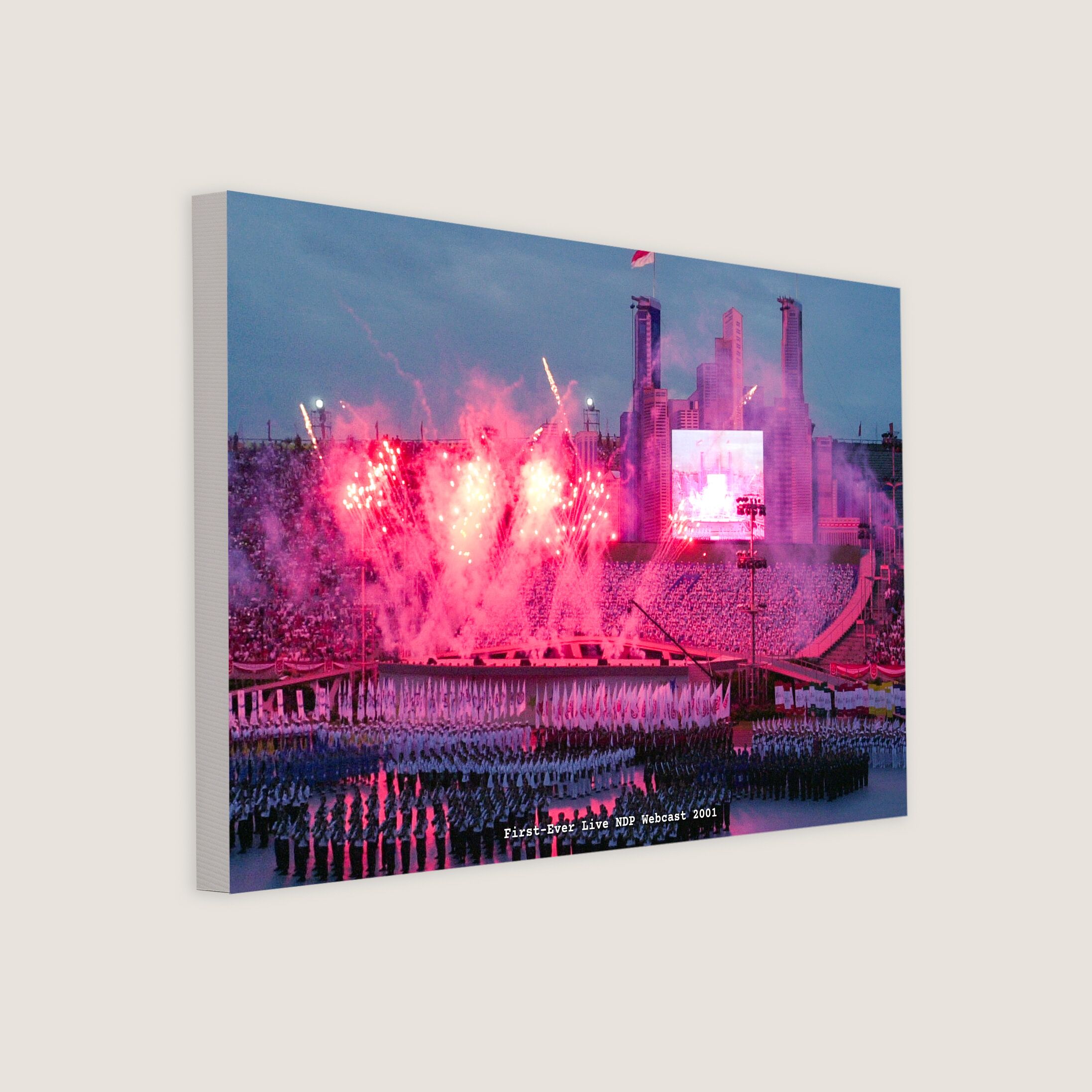 First-Ever Live NDP Webcast 2001 Canvas