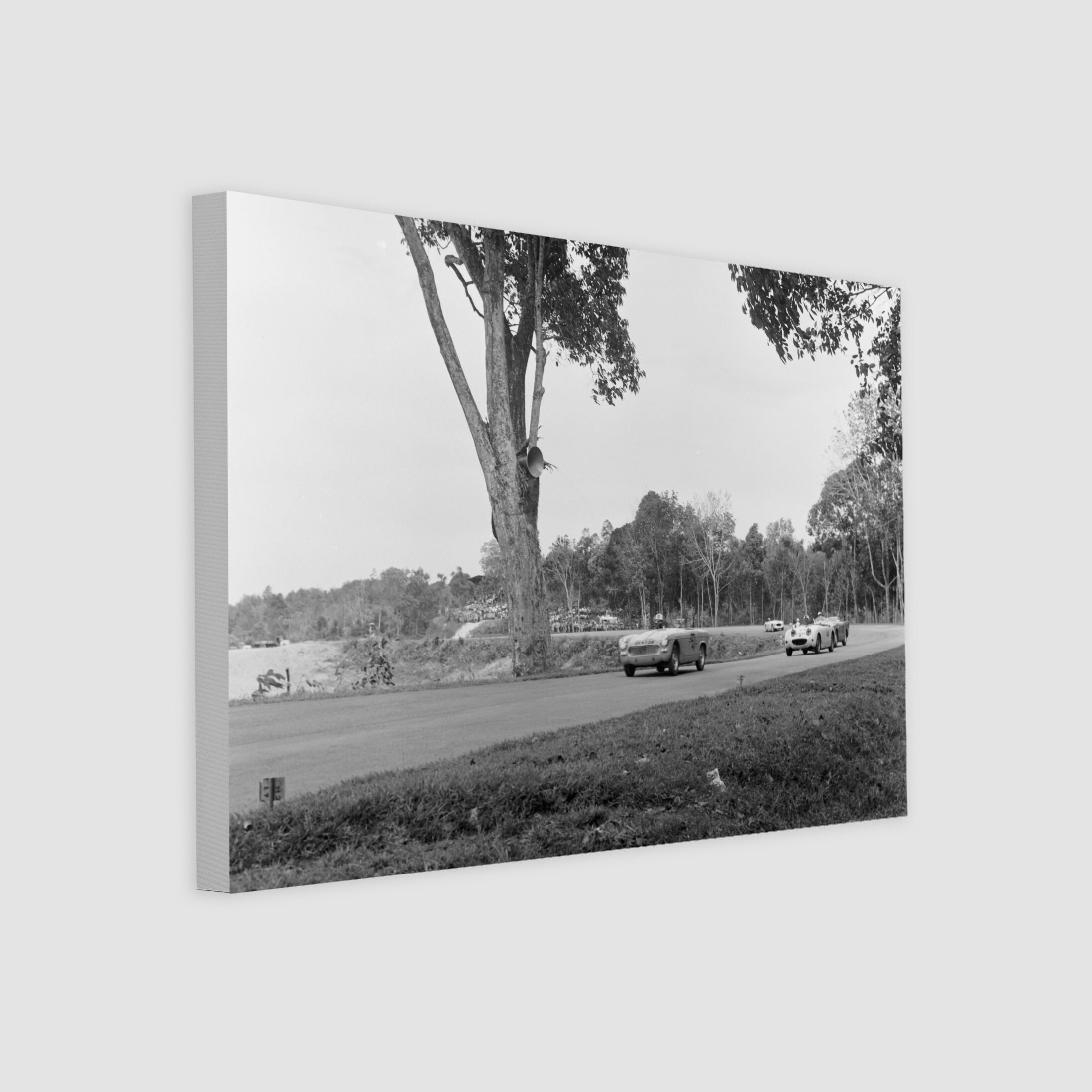 The Snakes on Old Upper Thomson Road 1964-My Sg Memories