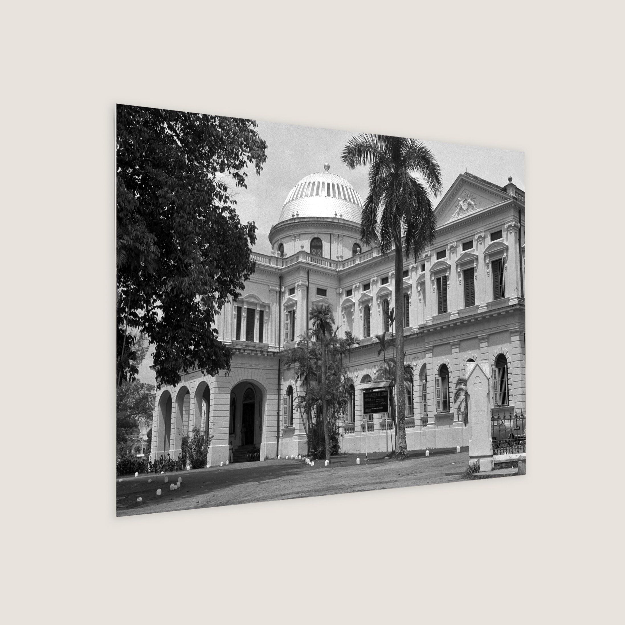 Raffles Library and Museum at Stamford Road 1954-My Sg Memories