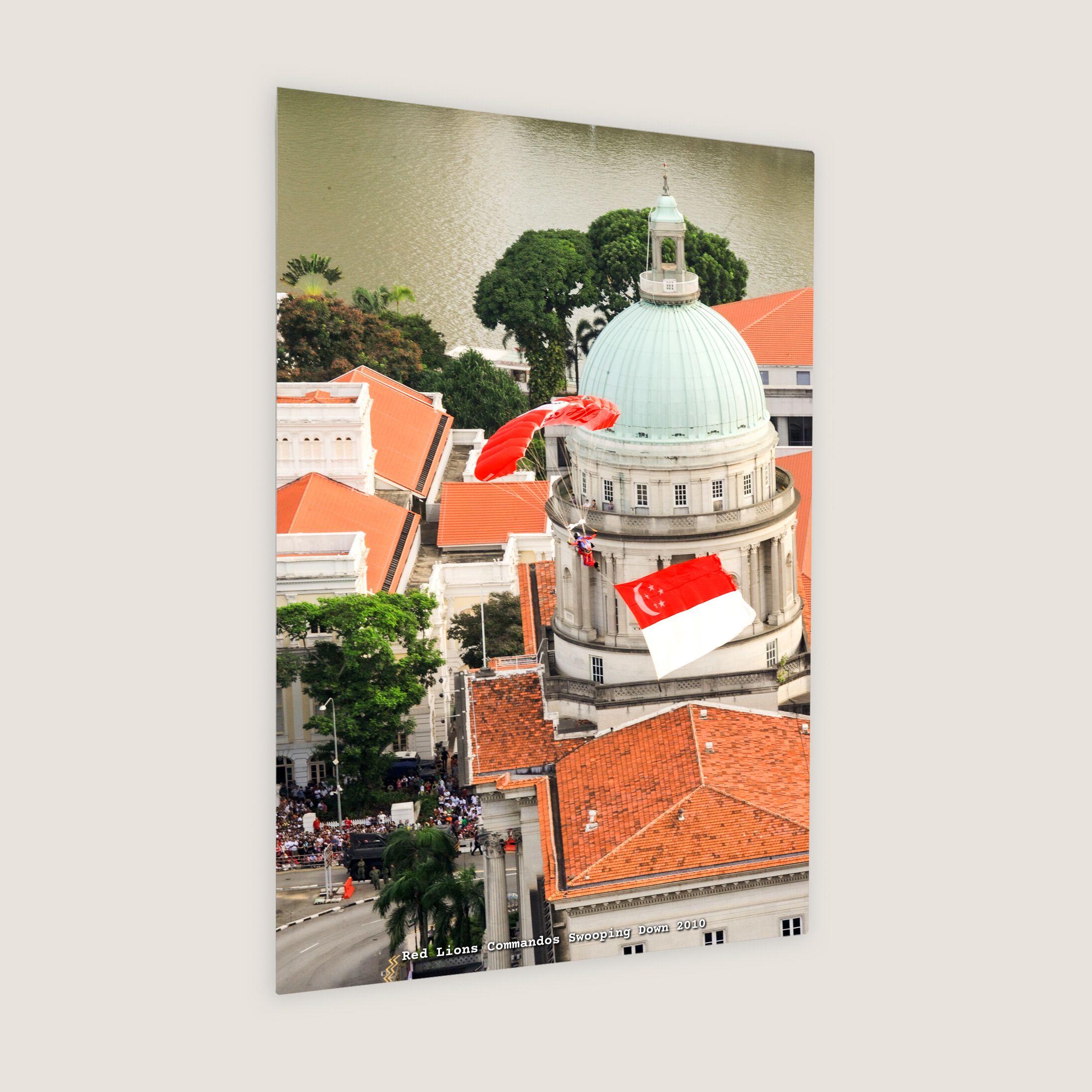 Red Lions Commandos Swooping Down 2010 Metal Panel