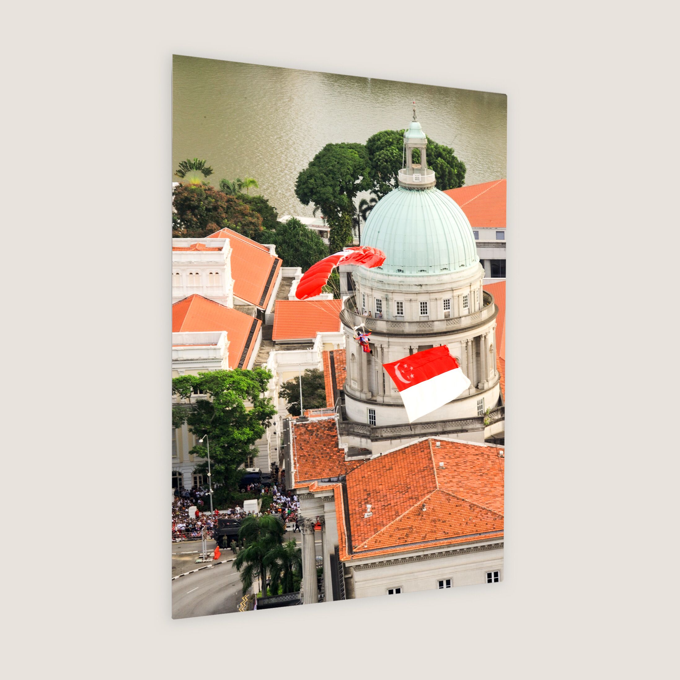 Red Lions Commandos Swooping Down 2010 Metal Panel