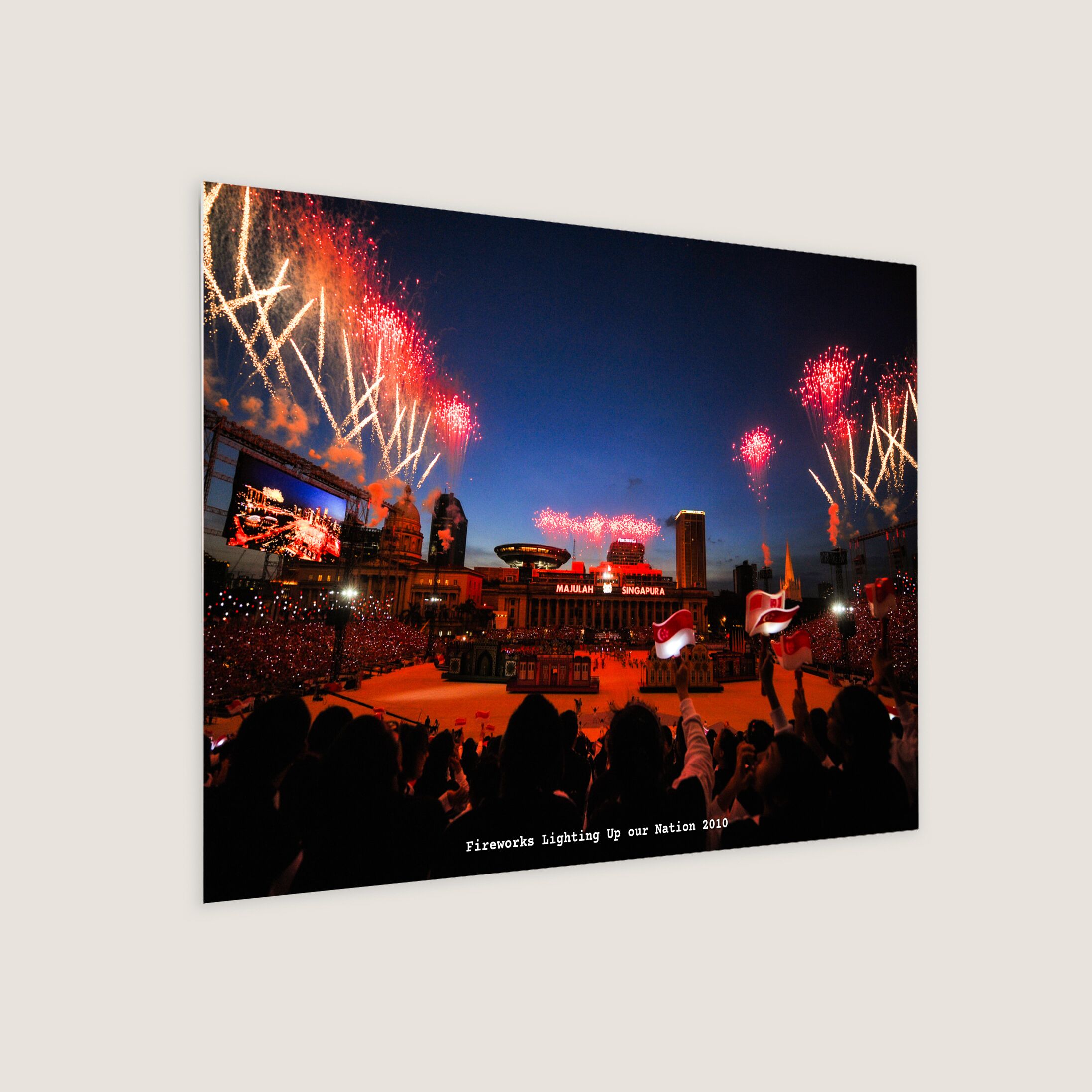 Fireworks Lighting up our Nation 2010 Metal Panel