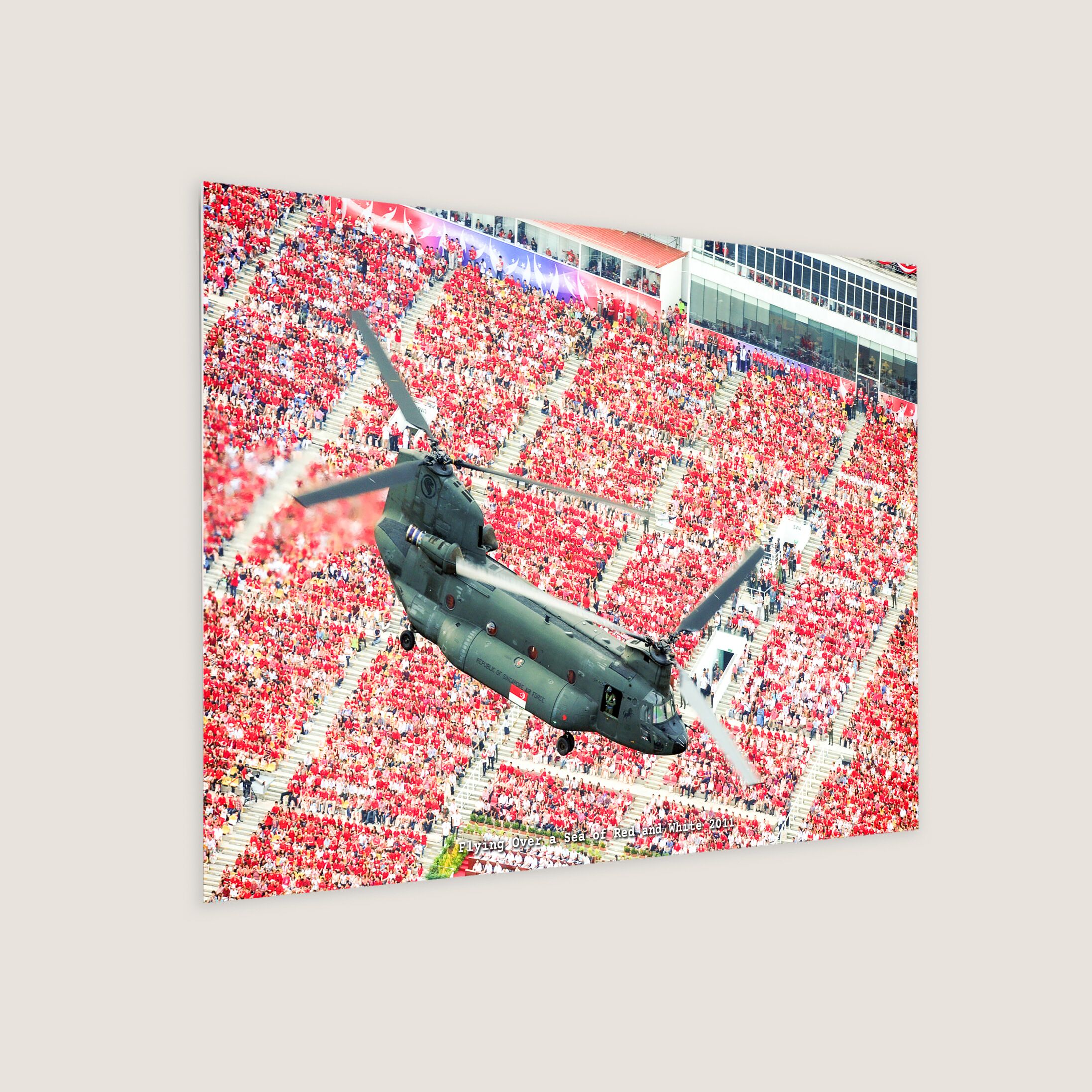 Flying Over a Sea of Red and White 2011 Metal Panel