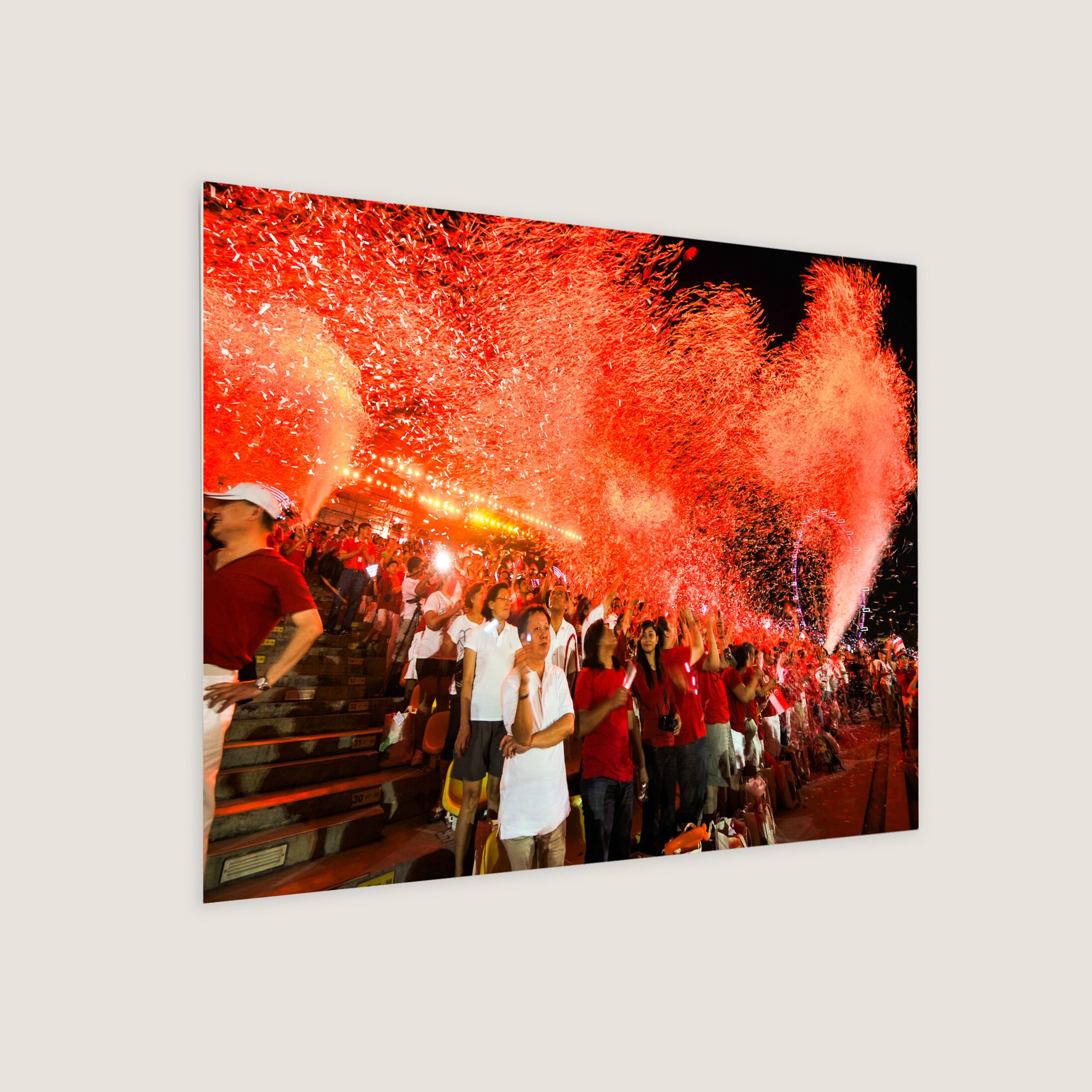 Vibrant NDP Light Show 2011 Metal Panel