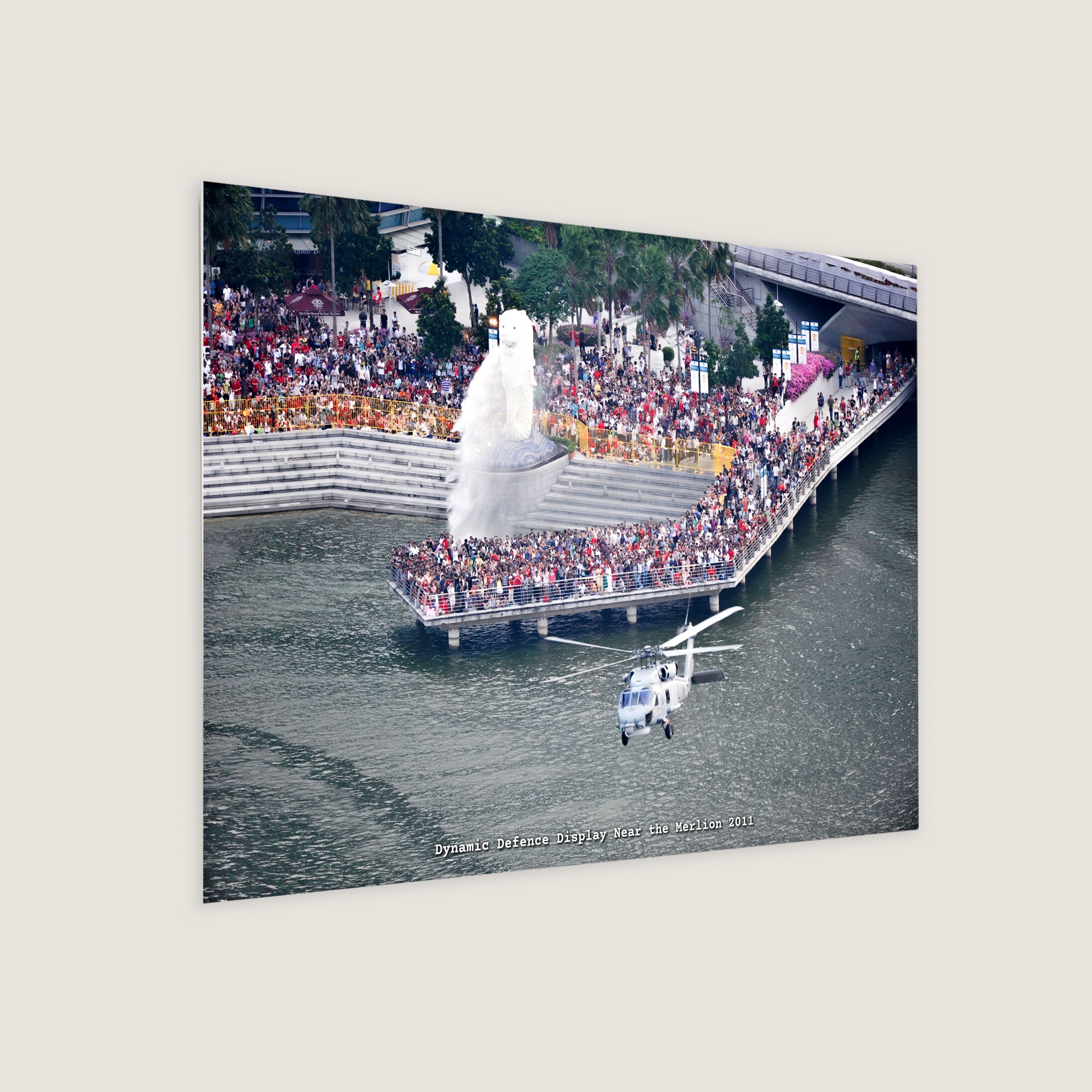 Dynamic Defence Display Near the Merlion 2011 Metal Panel