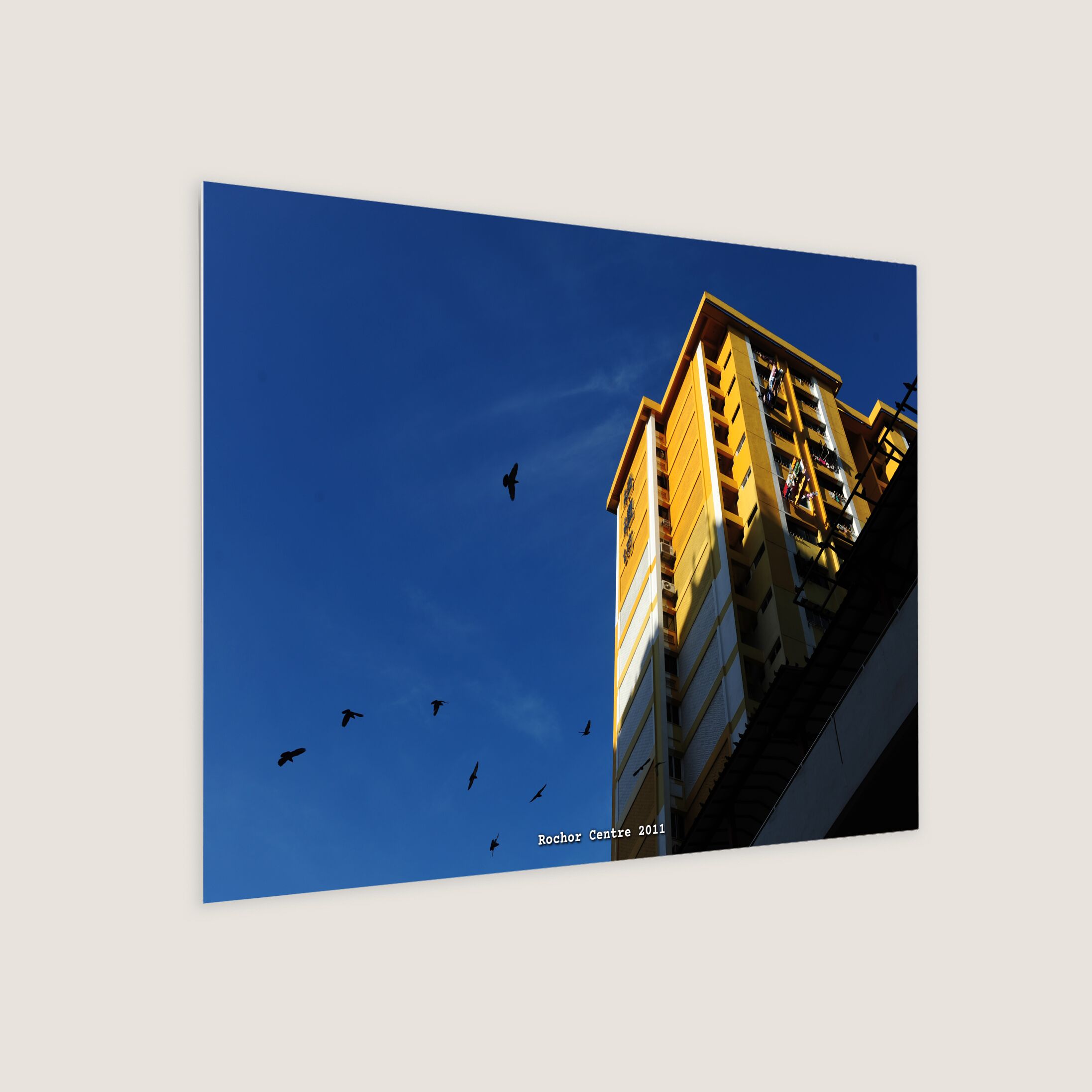 Rochor Centre 2011