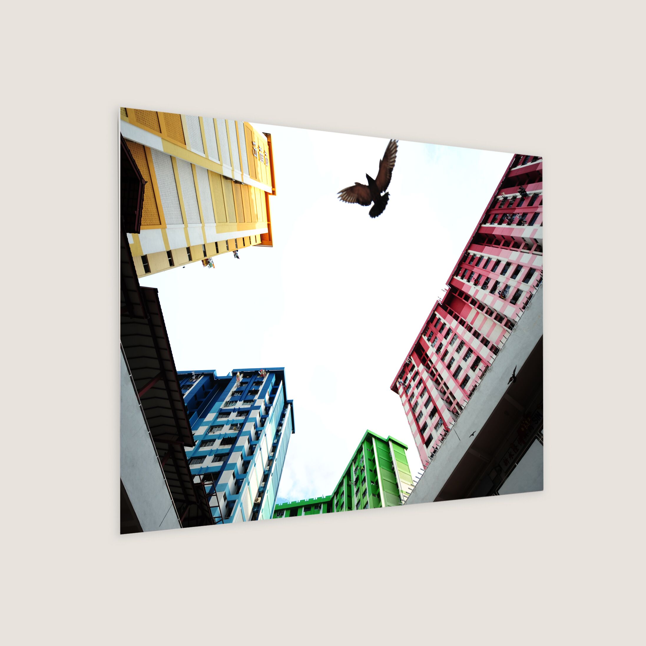 Podium-and-Tower Design of Rochor Flats 2011