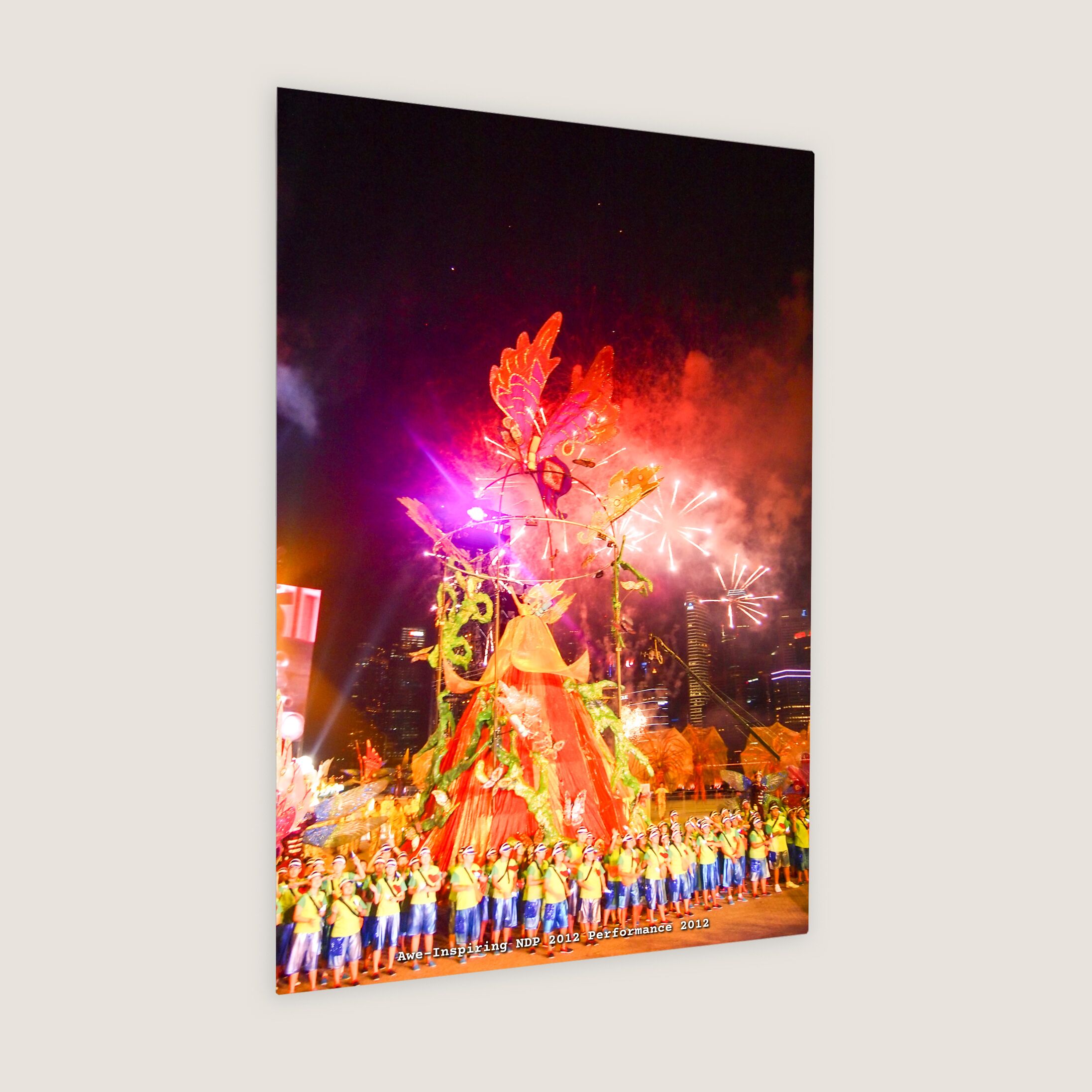 Awe-Inspiring NDP 2012 Performance 2012 Metal Panel