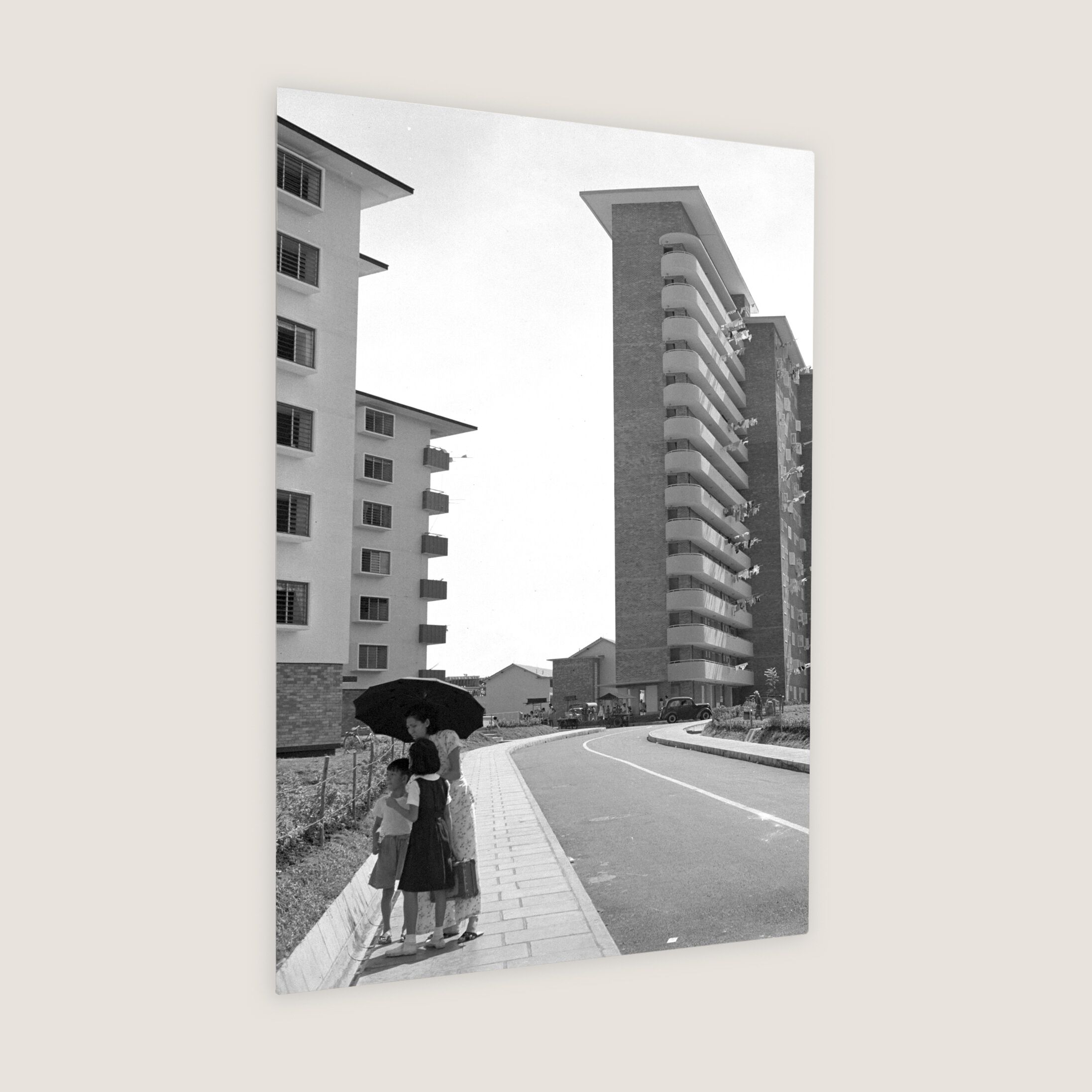 ForFar House at Queenstown 1956 Metal Panel