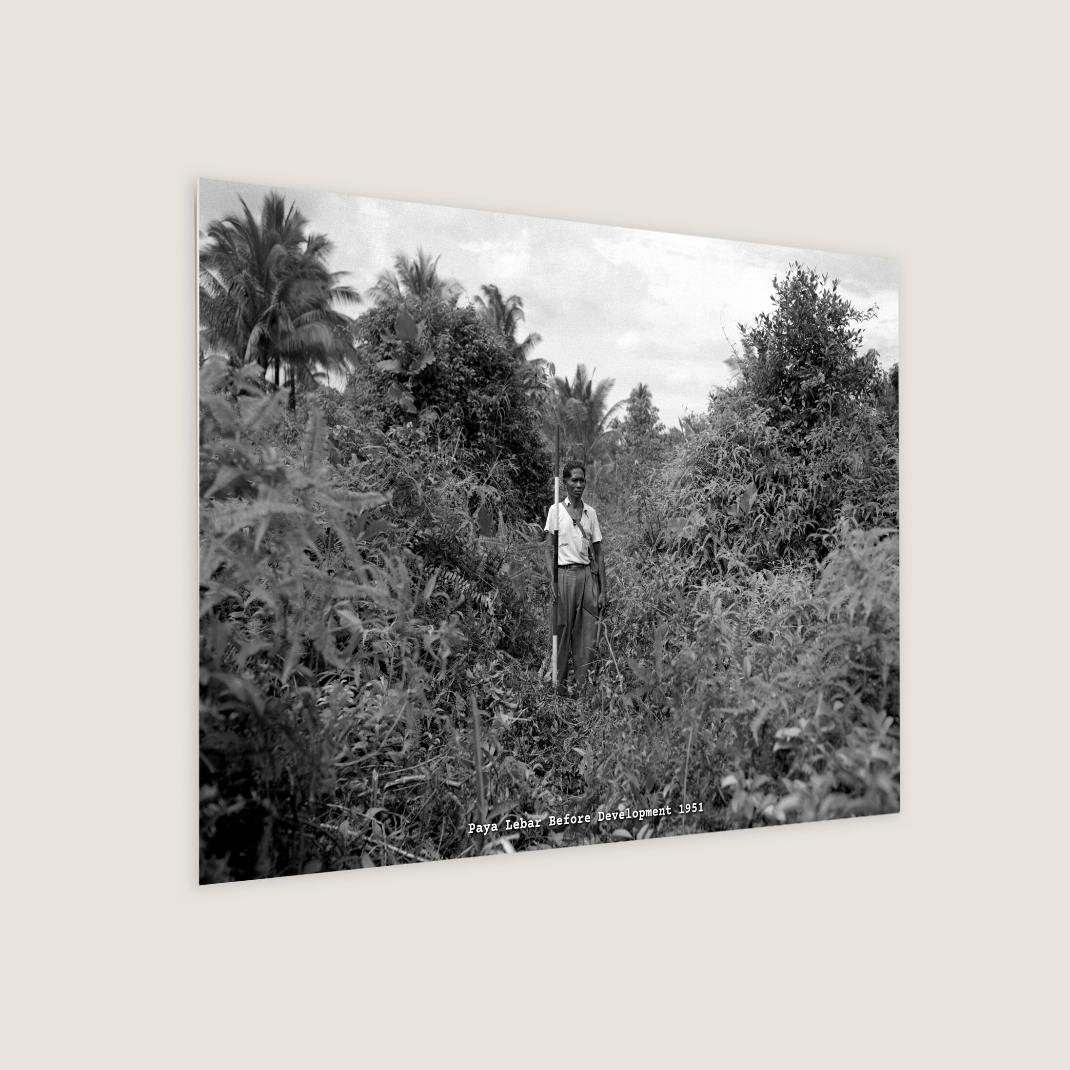 Paya Lebar Before Development 1951 Metal Panel