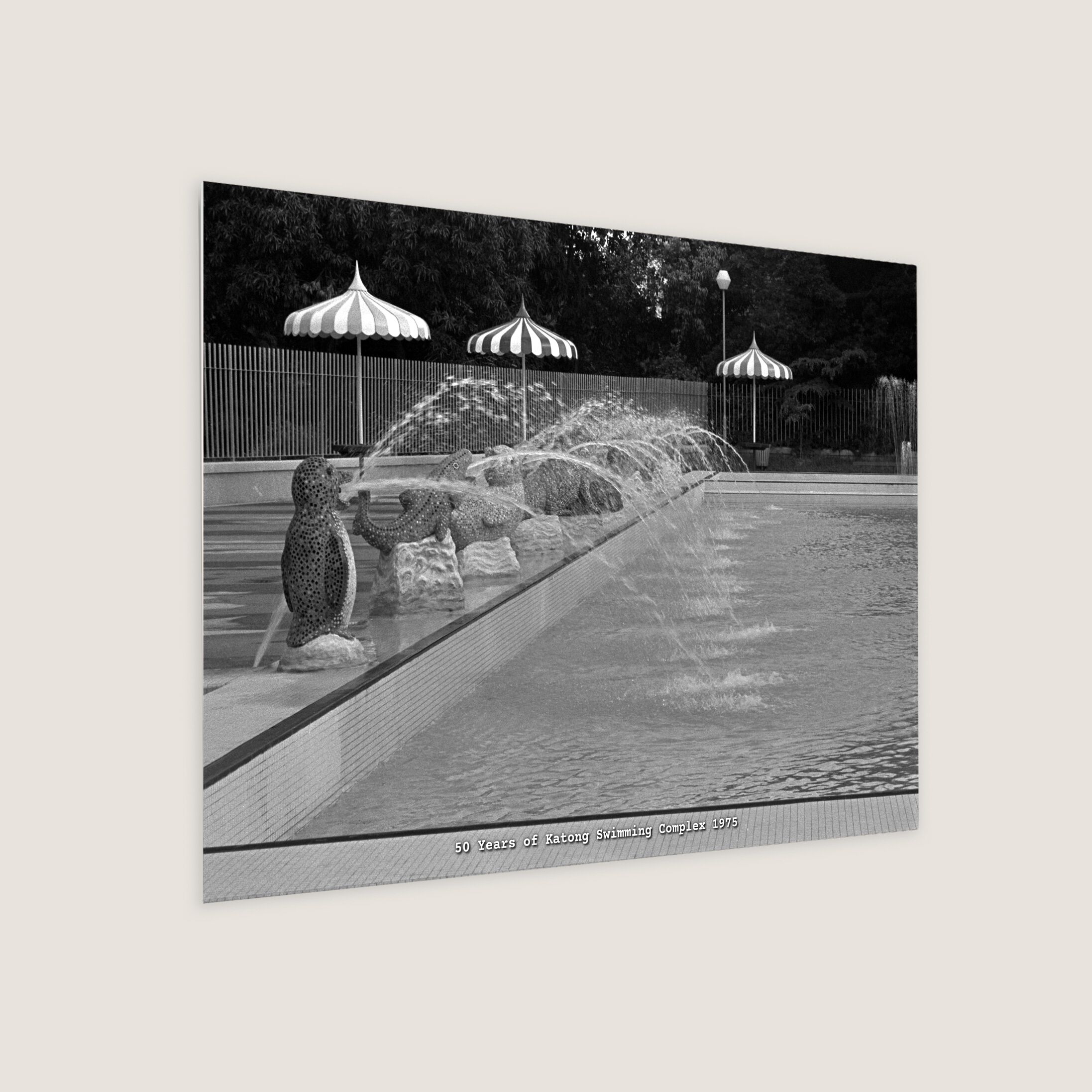 50 Years of Katong Swimming Complex 1975-My Sg Memories