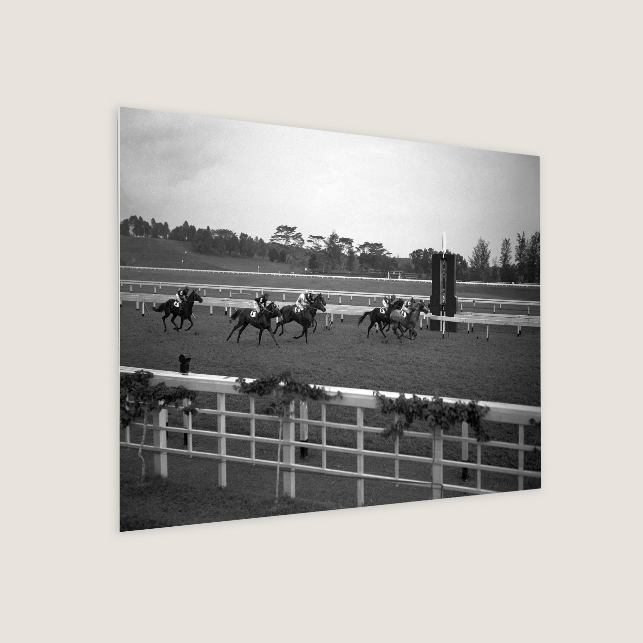 Horse Racing at Bukit Timah Turf Club 1951-My Sg Memories